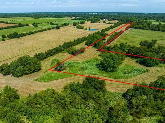 Unimproved Land For Sale in Lamar County , TBD FARM ROAD 194, Blossom, Texas 75416, 0, 0, Garage spaces, 0 Sqft, built in 0, Price $93,000, mls#20440327, Real Estate Agent in Blossom, Homes For Sale in Lamar county, Homes For Sale in Blossom, Realtor in Blossom Texas, Real Estate Brokerage Independent Realty Texas, Luminita Cordes Realtor