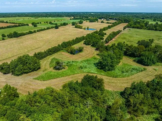 Unimproved Land For Sale in Lamar County , TBD FARM ROAD 194, Blossom, Texas 75416, 0, 0, Garage spaces, 0 Sqft, built in 0, Price $93,000, mls#20440327, Real Estate Agent in Blossom, Homes For Sale in Lamar county, Homes For Sale in Blossom, Realtor in Blossom Texas, Real Estate Brokerage Independent Realty Texas, Luminita Cordes Realtor
