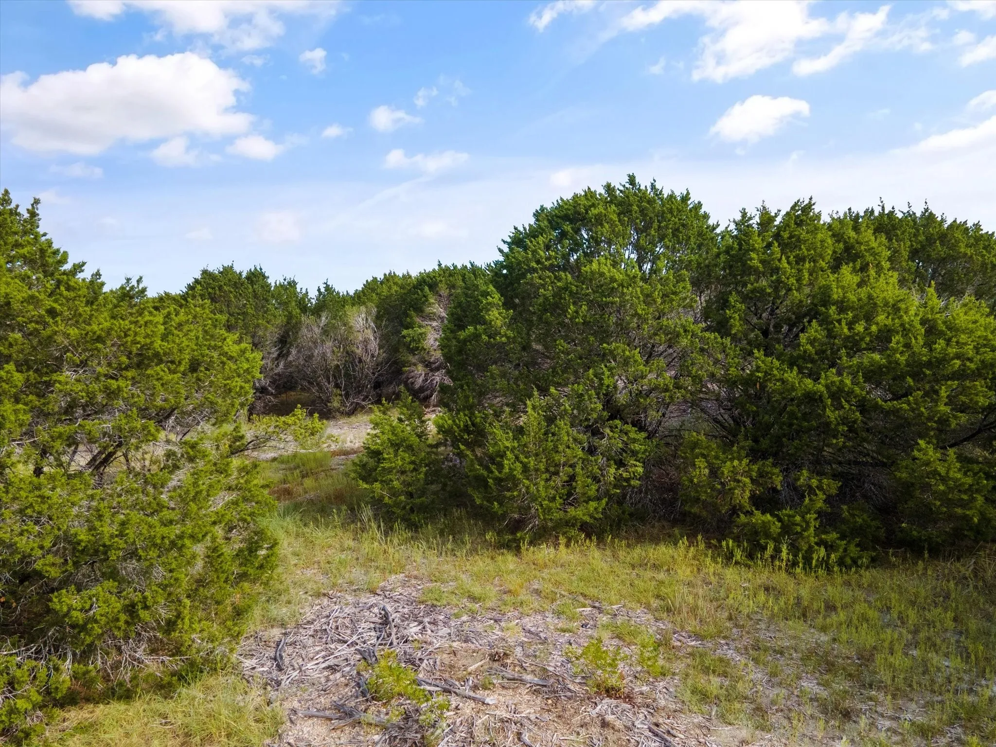 Unimproved Land For Sale in Somervell County , 1005 County Rd 407a, Nemo, Texas 76070, 0, 0, Garage spaces, 0 Sqft, built in 0, mls#20438153, Real Estate Agent in Nemo, Homes For Sale in Somervell county, Homes For Sale in Nemo, Realtor in Nemo Texas, Real Estate Brokerage Independent Realty Texas, Luminita Cordes Realtor