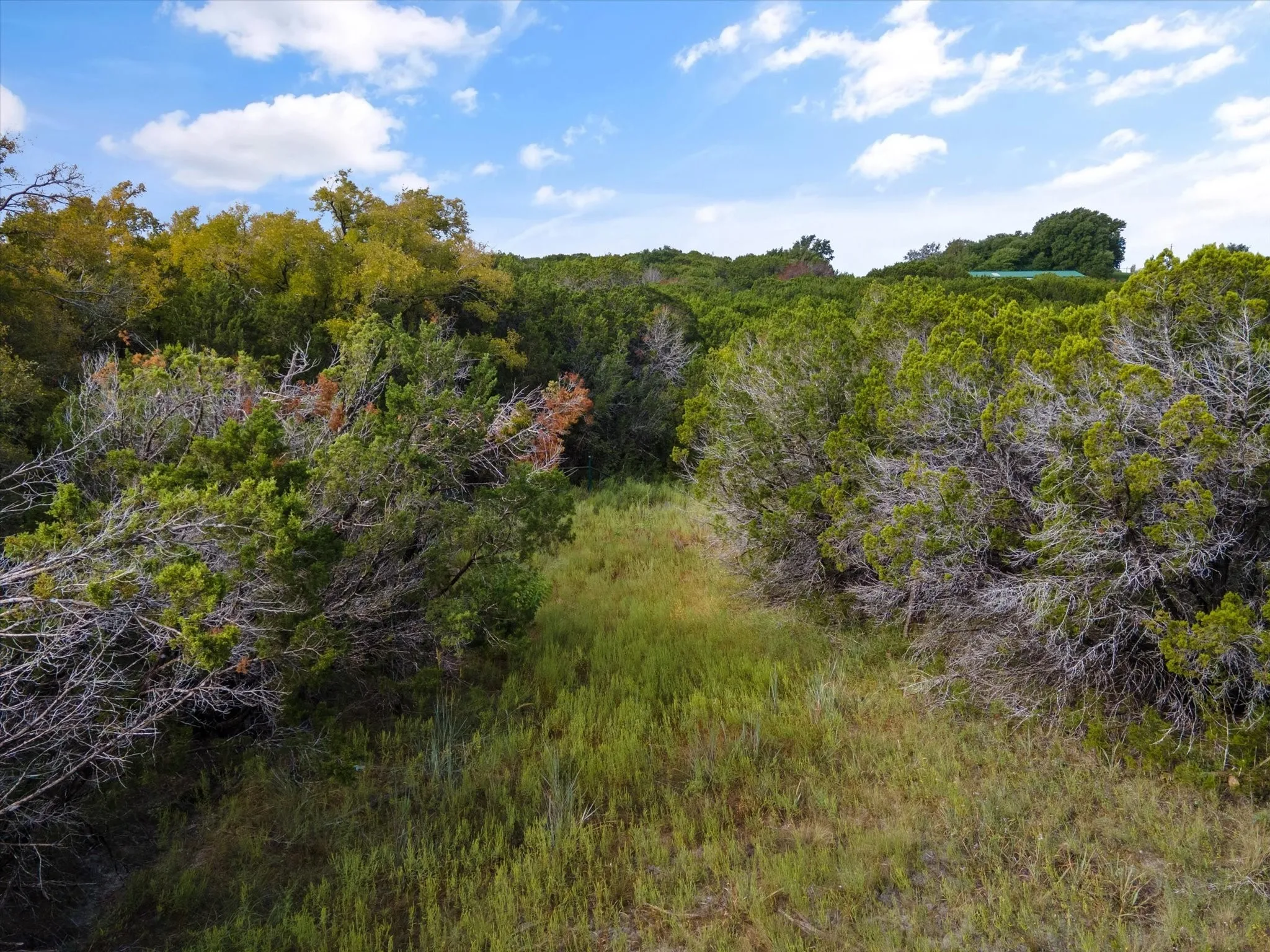 Unimproved Land For Sale in Somervell County , 1005 County Rd 407a, Nemo, Texas 76070, 0, 0, Garage spaces, 0 Sqft, built in 0, mls#20438153, Real Estate Agent in Nemo, Homes For Sale in Somervell county, Homes For Sale in Nemo, Realtor in Nemo Texas, Real Estate Brokerage Independent Realty Texas, Luminita Cordes Realtor