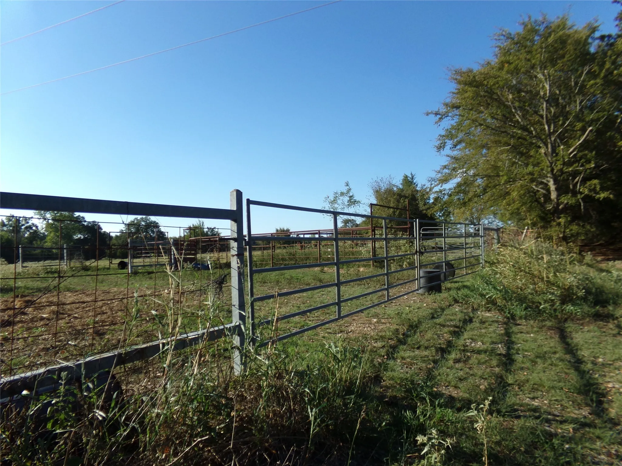 Ranch For Sale in Lamar County , 1753 FM 194, Blossom, Texas 75416, 0, 0, Garage spaces, 0 Sqft, built in 0, mls#20444070, Real Estate Agent in Blossom, Homes For Sale in Lamar county, Homes For Sale in Blossom, Realtor in Blossom Texas, Real Estate Brokerage Independent Realty Texas, Luminita Cordes Realtor