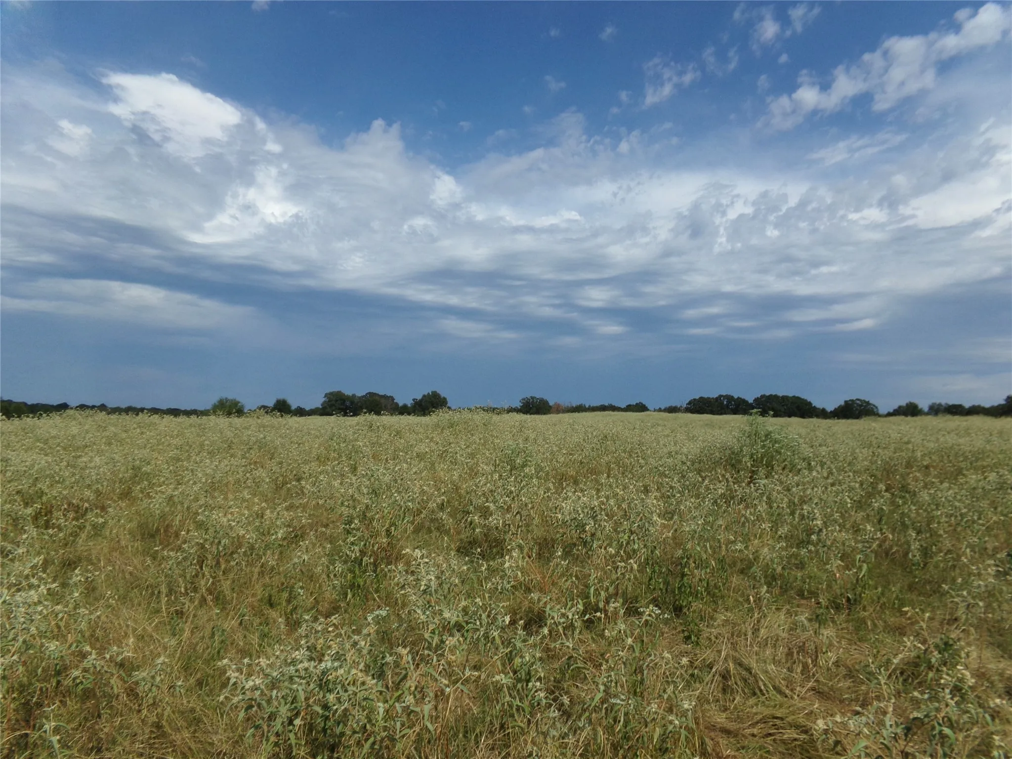 Ranch For Sale in Lamar County , 1753 FM 194, Blossom, Texas 75416, 0, 0, Garage spaces, 0 Sqft, built in 0, mls#20444070, Real Estate Agent in Blossom, Homes For Sale in Lamar county, Homes For Sale in Blossom, Realtor in Blossom Texas, Real Estate Brokerage Independent Realty Texas, Luminita Cordes Realtor
