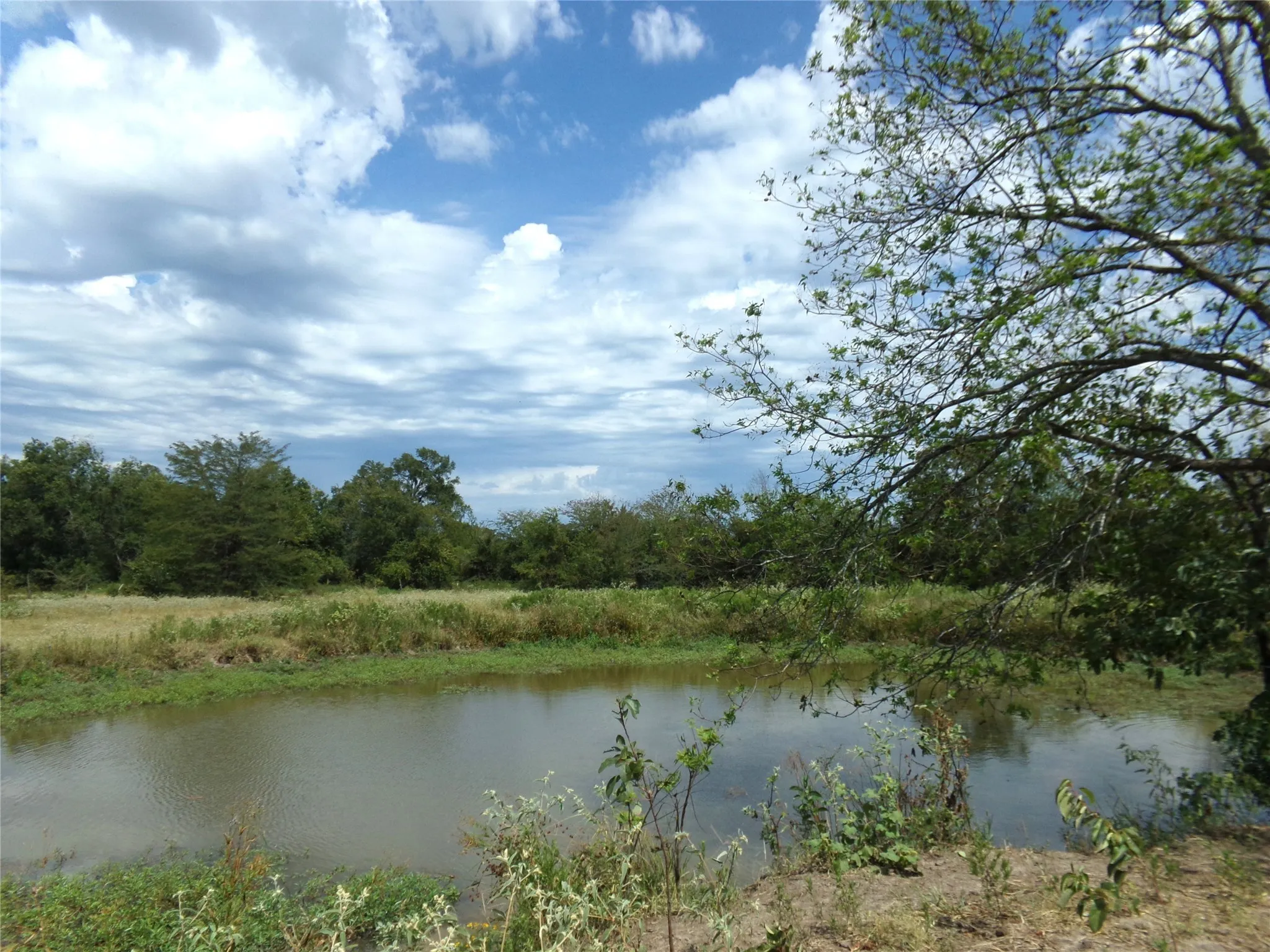 Ranch For Sale in Lamar County , 1753 FM 194, Blossom, Texas 75416, 0, 0, Garage spaces, 0 Sqft, built in 0, mls#20444070, Real Estate Agent in Blossom, Homes For Sale in Lamar county, Homes For Sale in Blossom, Realtor in Blossom Texas, Real Estate Brokerage Independent Realty Texas, Luminita Cordes Realtor