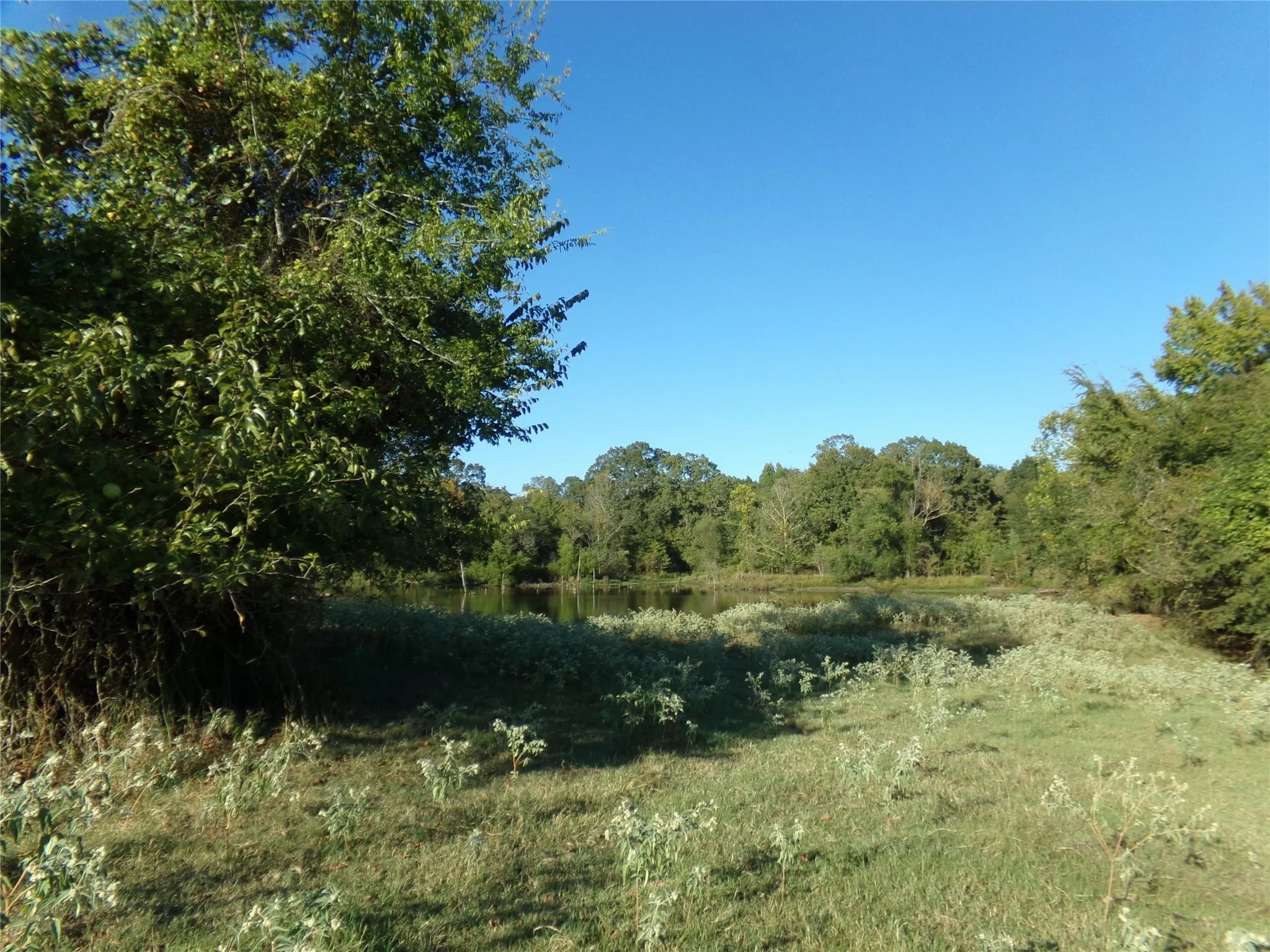 Ranch For Sale in Lamar County , 1753 FM 194, Blossom, Texas 75416, 0, 0, Garage spaces, 0 Sqft, built in 0, mls#20444070, Real Estate Agent in Blossom, Homes For Sale in Lamar county, Homes For Sale in Blossom, Realtor in Blossom Texas, Real Estate Brokerage Independent Realty Texas, Luminita Cordes Realtor