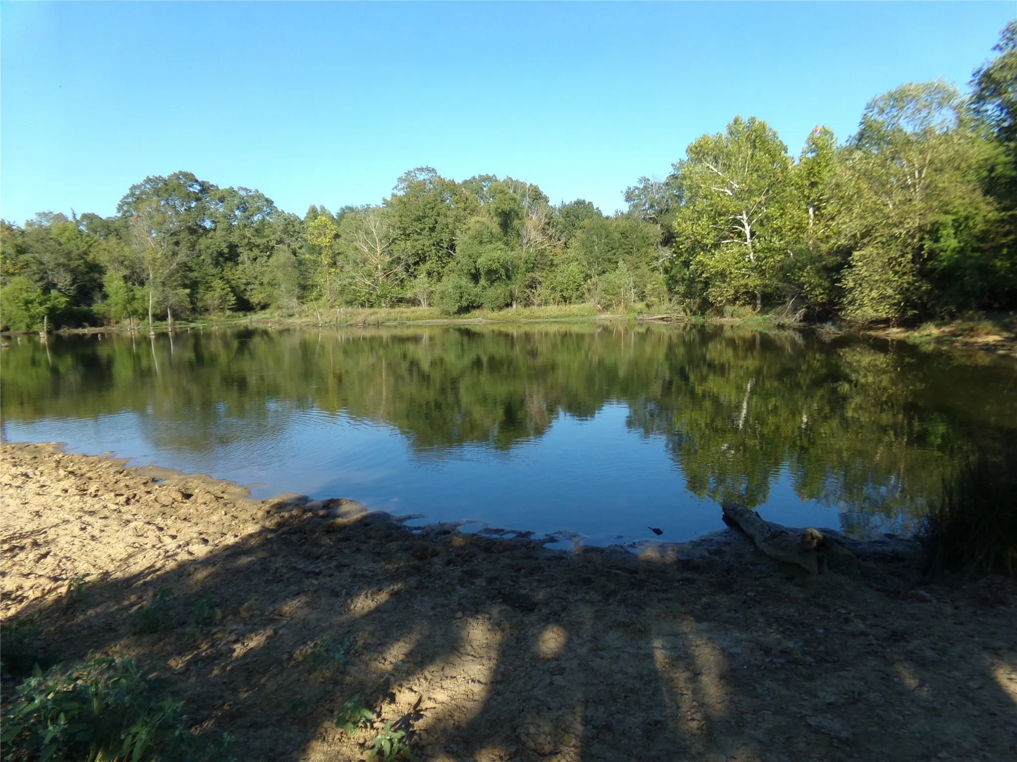 Ranch For Sale in Lamar County , 1753 FM 194, Blossom, Texas 75416, 0, 0, Garage spaces, 0 Sqft, built in 0, mls#20444070, Real Estate Agent in Blossom, Homes For Sale in Lamar county, Homes For Sale in Blossom, Realtor in Blossom Texas, Real Estate Brokerage Independent Realty Texas, Luminita Cordes Realtor