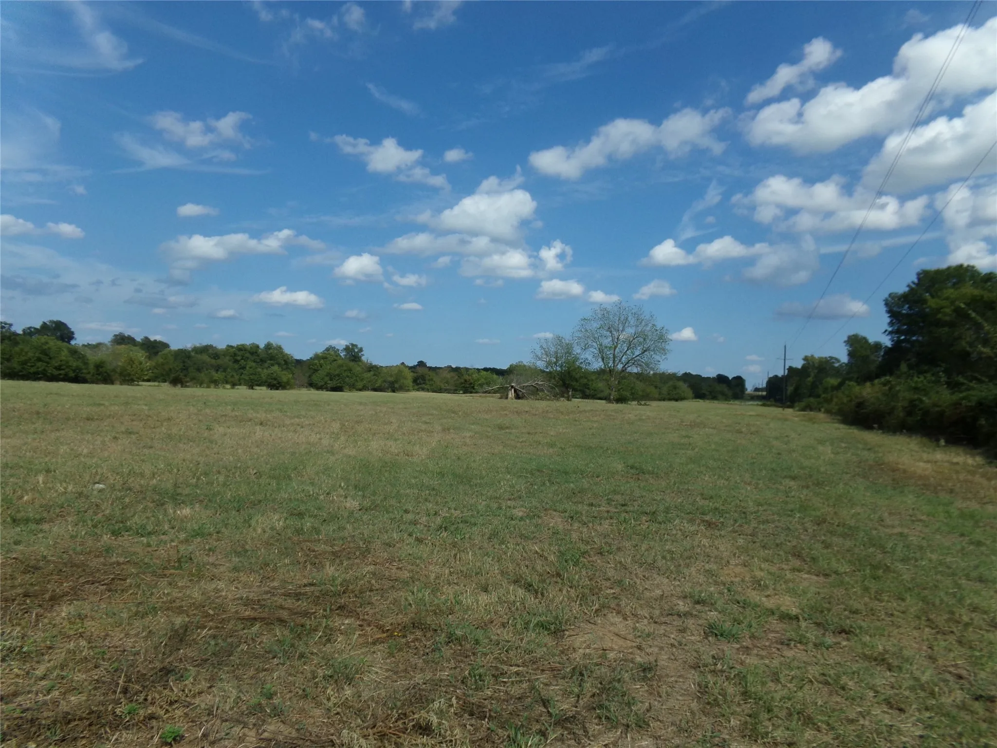 Ranch For Sale in Lamar County , 1753 FM 194, Blossom, Texas 75416, 0, 0, Garage spaces, 0 Sqft, built in 0, mls#20444070, Real Estate Agent in Blossom, Homes For Sale in Lamar county, Homes For Sale in Blossom, Realtor in Blossom Texas, Real Estate Brokerage Independent Realty Texas, Luminita Cordes Realtor