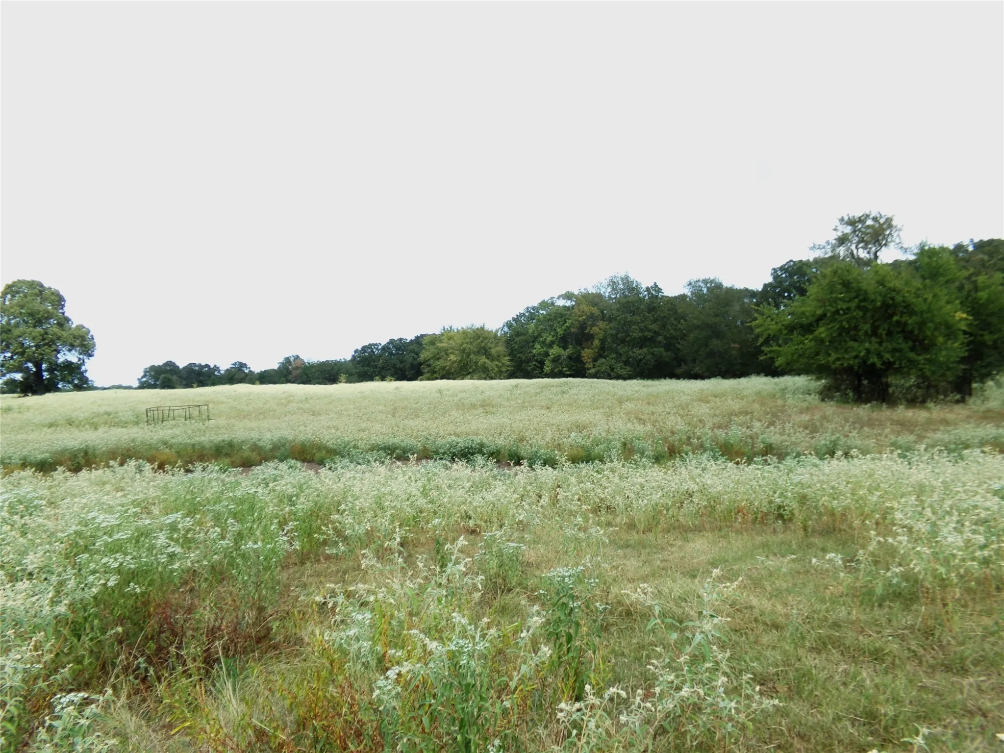 Ranch For Sale in Lamar County , 1753 FM 194, Blossom, Texas 75416, 0, 0, Garage spaces, 0 Sqft, built in 0, mls#20444070, Real Estate Agent in Blossom, Homes For Sale in Lamar county, Homes For Sale in Blossom, Realtor in Blossom Texas, Real Estate Brokerage Independent Realty Texas, Luminita Cordes Realtor