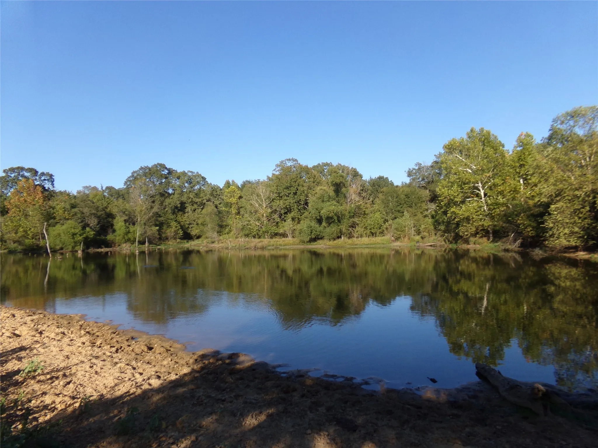 Ranch For Sale in Lamar County , 1753 FM 194, Blossom, Texas 75416, 0, 0, Garage spaces, 0 Sqft, built in 0, mls#20444070, Real Estate Agent in Blossom, Homes For Sale in Lamar county, Homes For Sale in Blossom, Realtor in Blossom Texas, Real Estate Brokerage Independent Realty Texas, Luminita Cordes Realtor