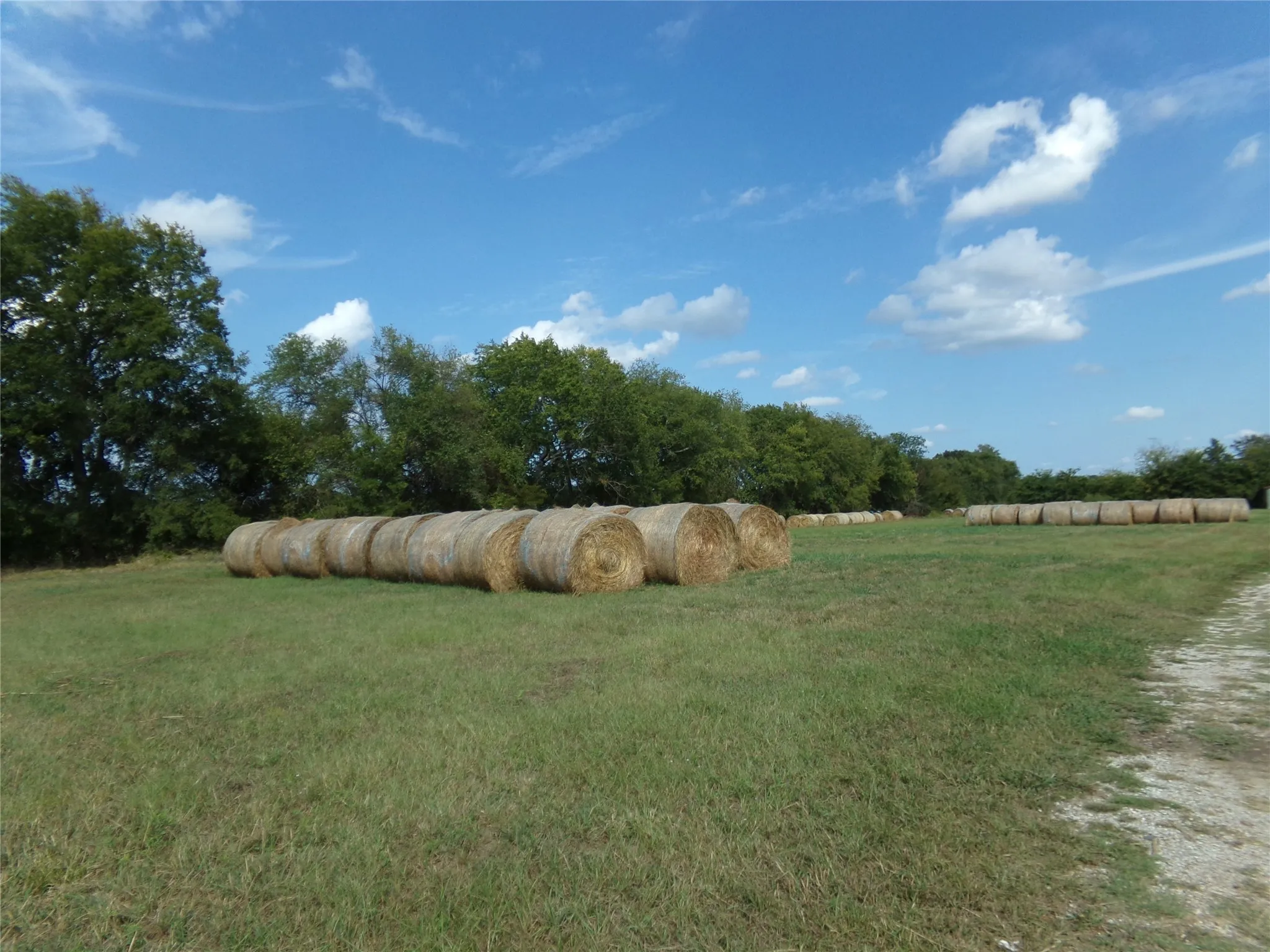 Ranch For Sale in Lamar County , 1753 FM 194, Blossom, Texas 75416, 0, 0, Garage spaces, 0 Sqft, built in 0, mls#20444070, Real Estate Agent in Blossom, Homes For Sale in Lamar county, Homes For Sale in Blossom, Realtor in Blossom Texas, Real Estate Brokerage Independent Realty Texas, Luminita Cordes Realtor