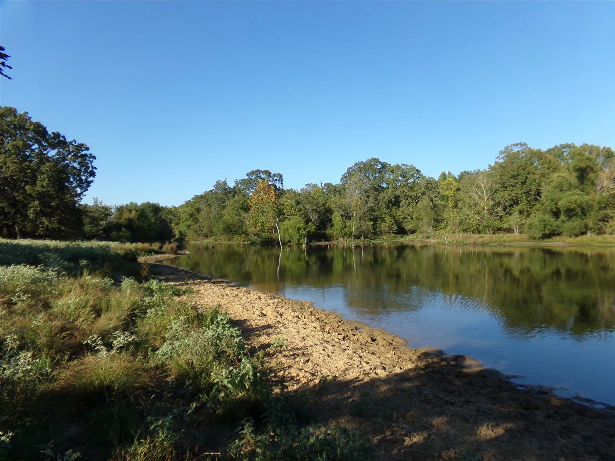 Ranch For Sale in Lamar County , 1753 FM 194, Blossom, Texas 75416, 0, 0, Garage spaces, 0 Sqft, built in 0, mls#20444070, Real Estate Agent in Blossom, Homes For Sale in Lamar county, Homes For Sale in Blossom, Realtor in Blossom Texas, Real Estate Brokerage Independent Realty Texas, Luminita Cordes Realtor