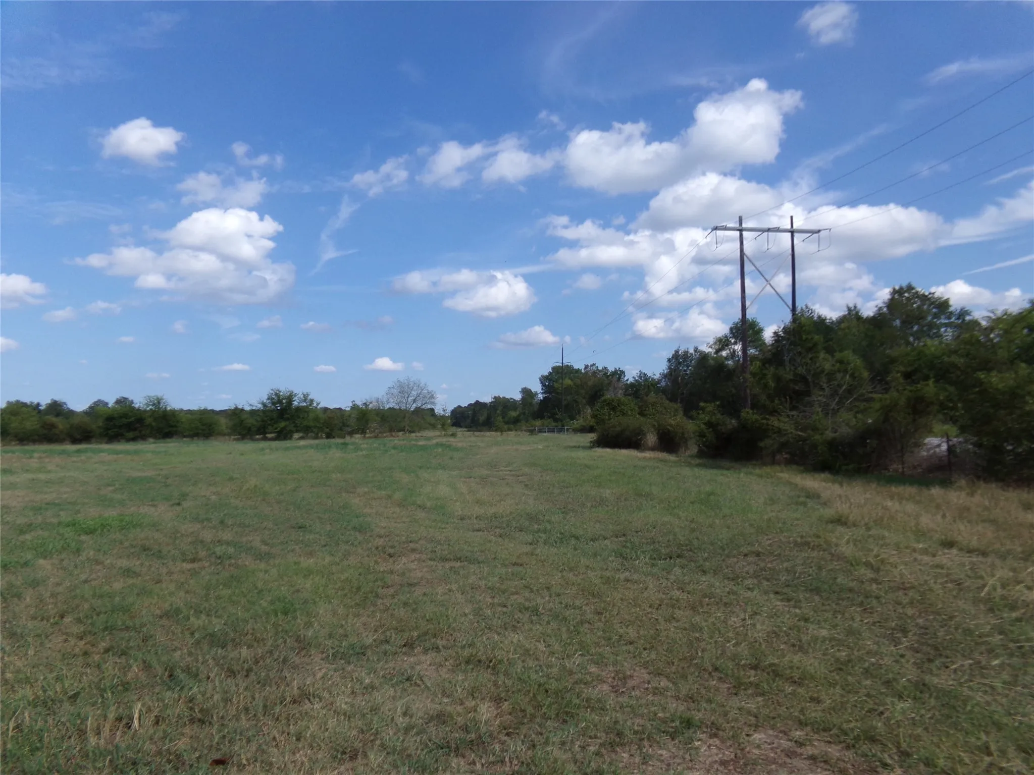 Ranch For Sale in Lamar County , 1753 FM 194, Blossom, Texas 75416, 0, 0, Garage spaces, 0 Sqft, built in 0, mls#20444070, Real Estate Agent in Blossom, Homes For Sale in Lamar county, Homes For Sale in Blossom, Realtor in Blossom Texas, Real Estate Brokerage Independent Realty Texas, Luminita Cordes Realtor