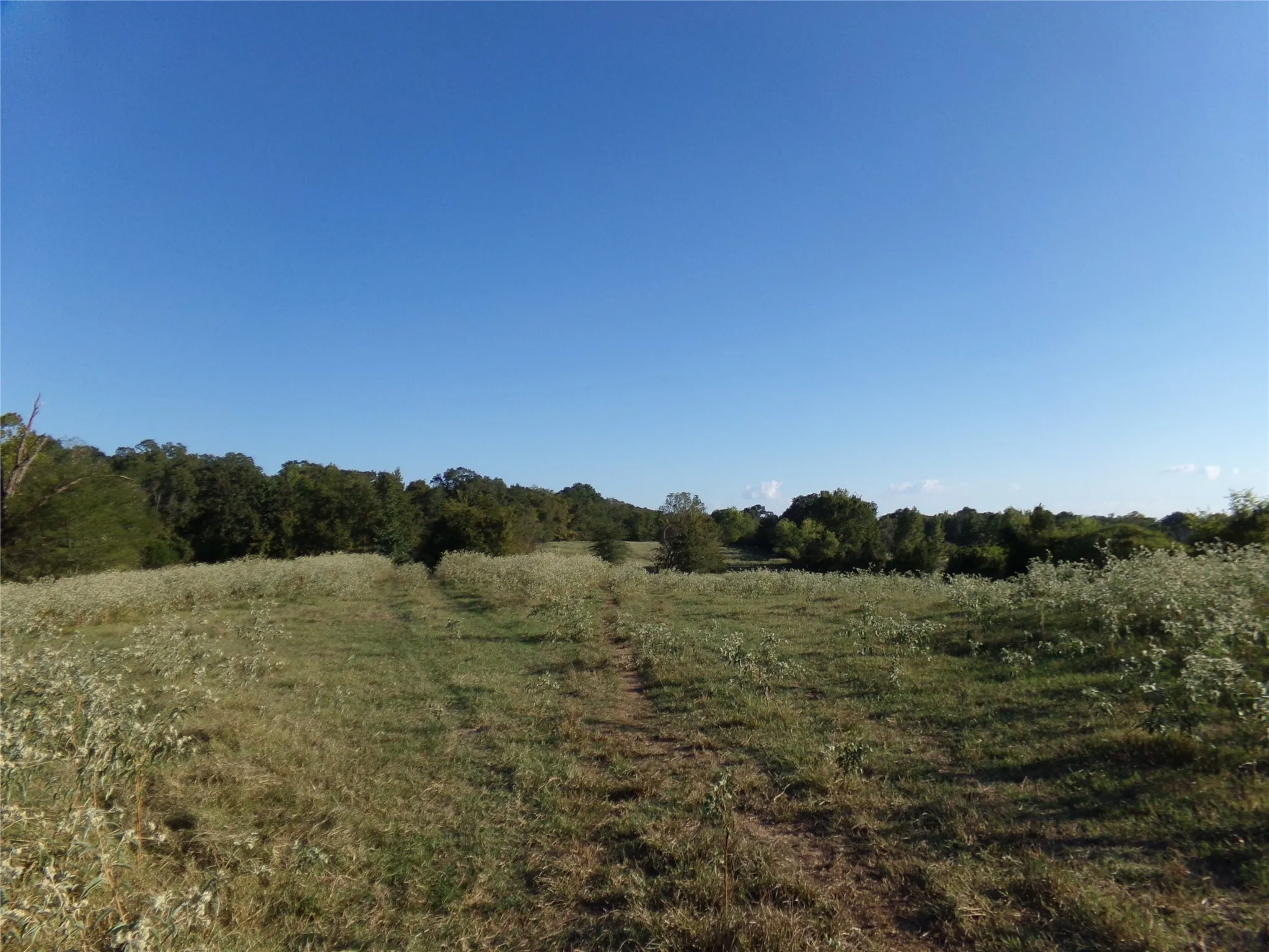 Ranch For Sale in Lamar County , 1753 FM 194, Blossom, Texas 75416, 0, 0, Garage spaces, 0 Sqft, built in 0, mls#20444070, Real Estate Agent in Blossom, Homes For Sale in Lamar county, Homes For Sale in Blossom, Realtor in Blossom Texas, Real Estate Brokerage Independent Realty Texas, Luminita Cordes Realtor