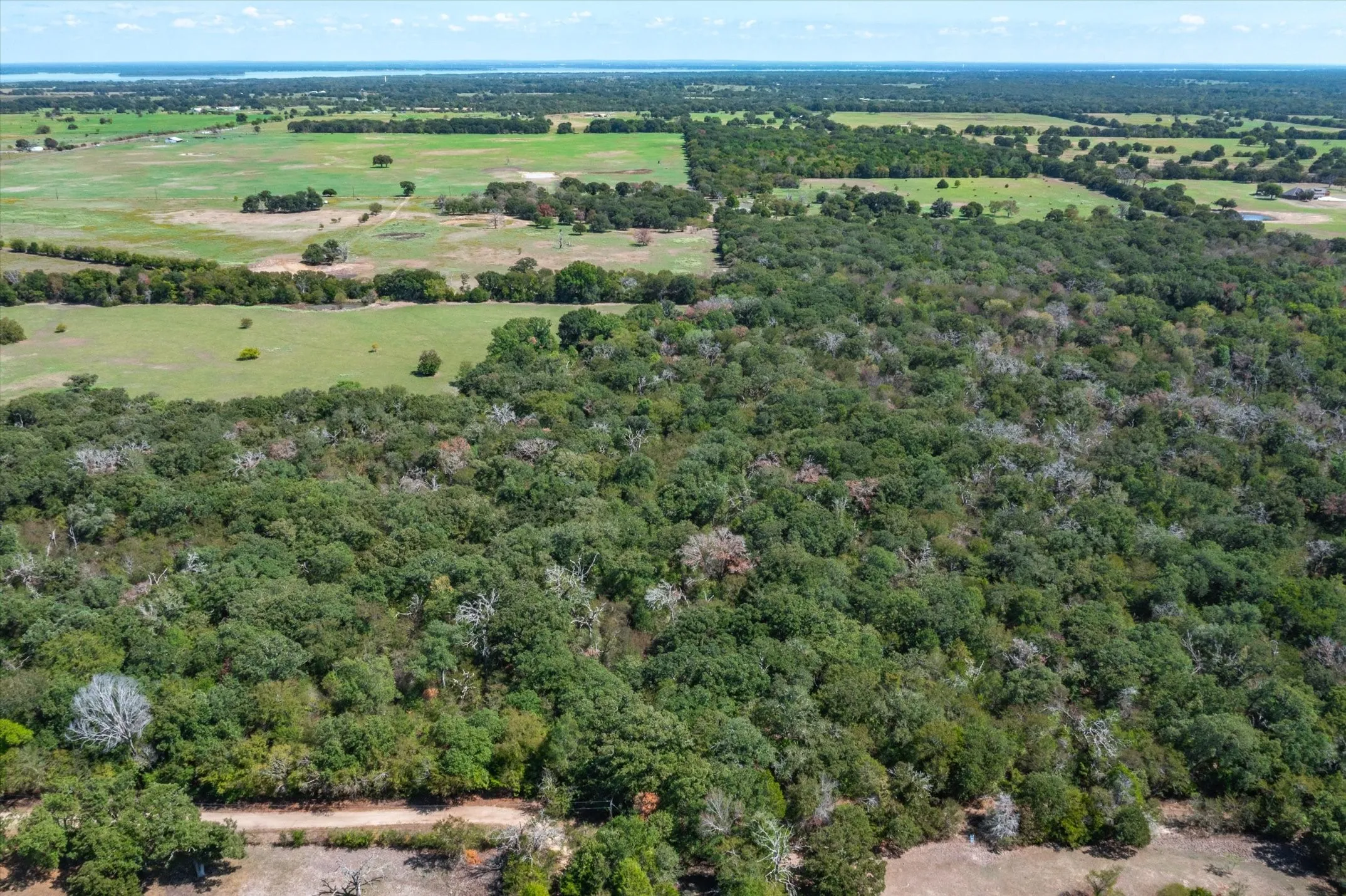 Unimproved Land For Sale in Kaufman County , Tract 6 CR 4048, Kemp, Texas 75143, 0, 0, Garage spaces, 0 Sqft, built in 0, mls#20445569, Real Estate Agent in Kemp, Homes For Sale in Kaufman county, Homes For Sale in Kemp, Realtor in Kemp Texas, Real Estate Brokerage Independent Realty Texas, Luminita Cordes Realtor