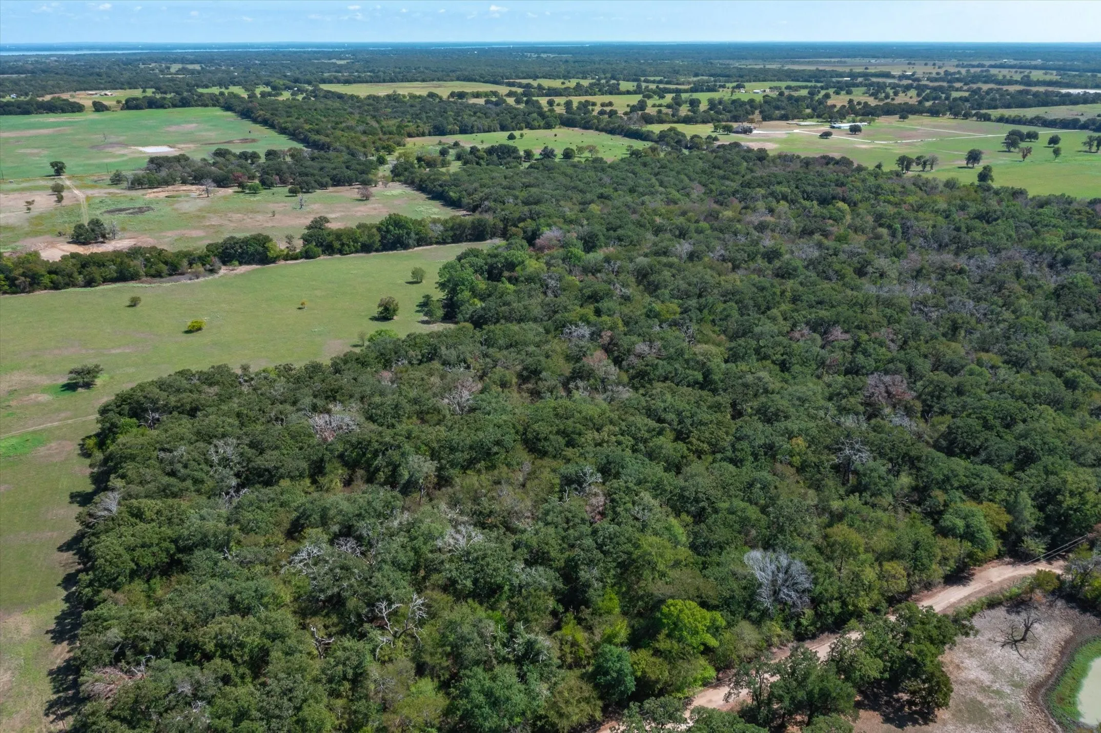 Unimproved Land For Sale in Kaufman County , Tract 6 CR 4048, Kemp, Texas 75143, 0, 0, Garage spaces, 0 Sqft, built in 0, mls#20445569, Real Estate Agent in Kemp, Homes For Sale in Kaufman county, Homes For Sale in Kemp, Realtor in Kemp Texas, Real Estate Brokerage Independent Realty Texas, Luminita Cordes Realtor