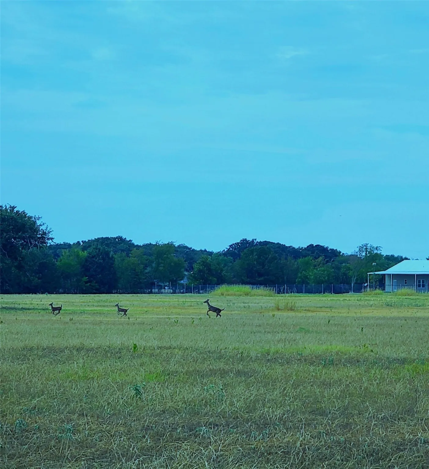 Unimproved Land For Sale in Kaufman County , Tract 6 CR 4048, Kemp, Texas 75143, 0, 0, Garage spaces, 0 Sqft, built in 0, mls#20445569, Real Estate Agent in Kemp, Homes For Sale in Kaufman county, Homes For Sale in Kemp, Realtor in Kemp Texas, Real Estate Brokerage Independent Realty Texas, Luminita Cordes Realtor