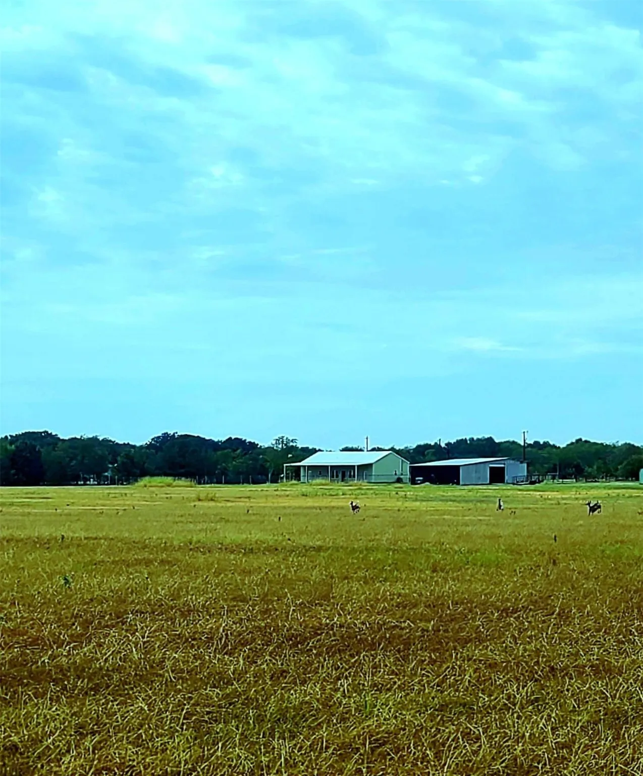 Unimproved Land For Sale in Kaufman County , Tract 6 CR 4048, Kemp, Texas 75143, 0, 0, Garage spaces, 0 Sqft, built in 0, mls#20445569, Real Estate Agent in Kemp, Homes For Sale in Kaufman county, Homes For Sale in Kemp, Realtor in Kemp Texas, Real Estate Brokerage Independent Realty Texas, Luminita Cordes Realtor