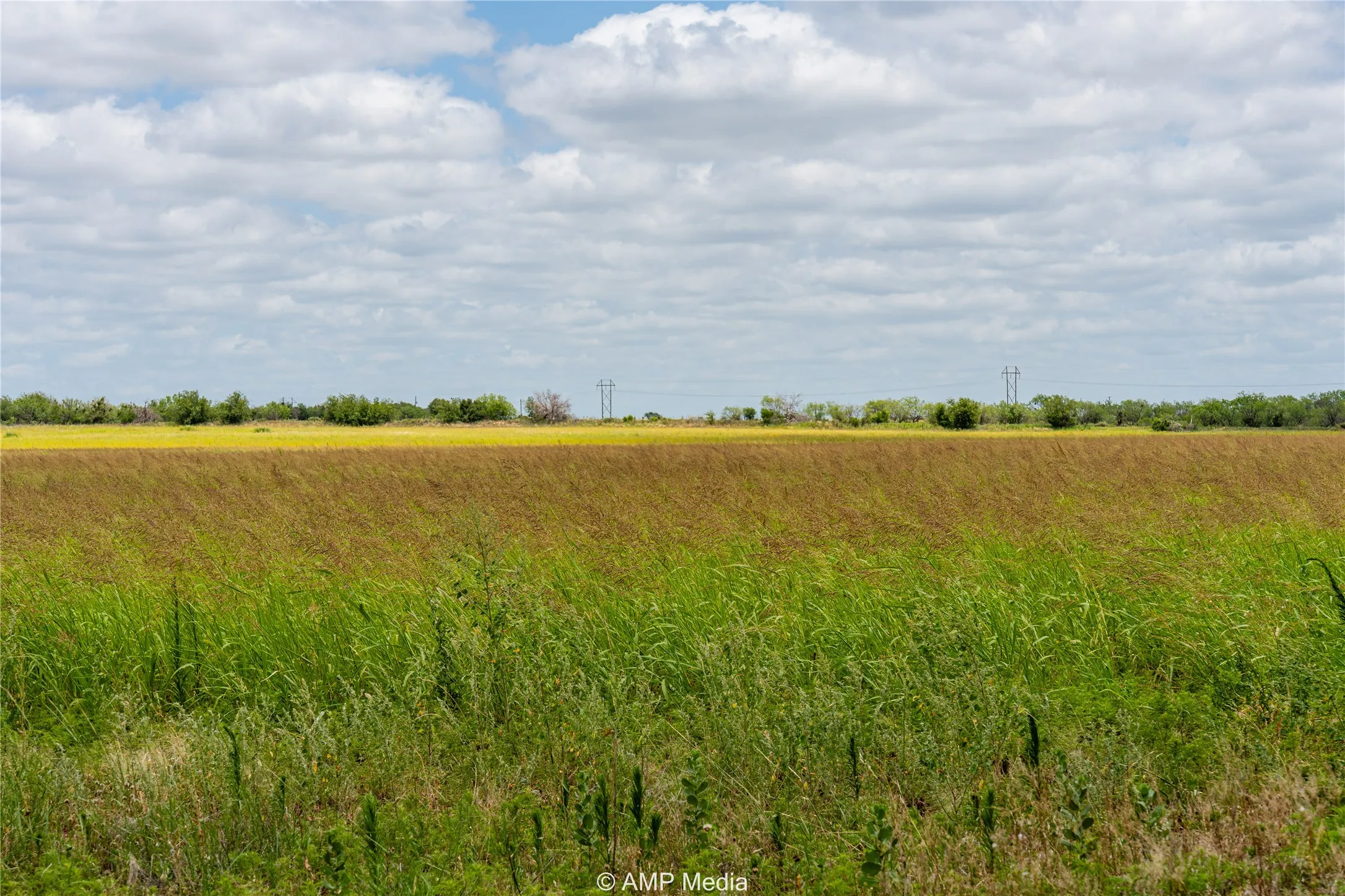 View of local wilderness with a rural view