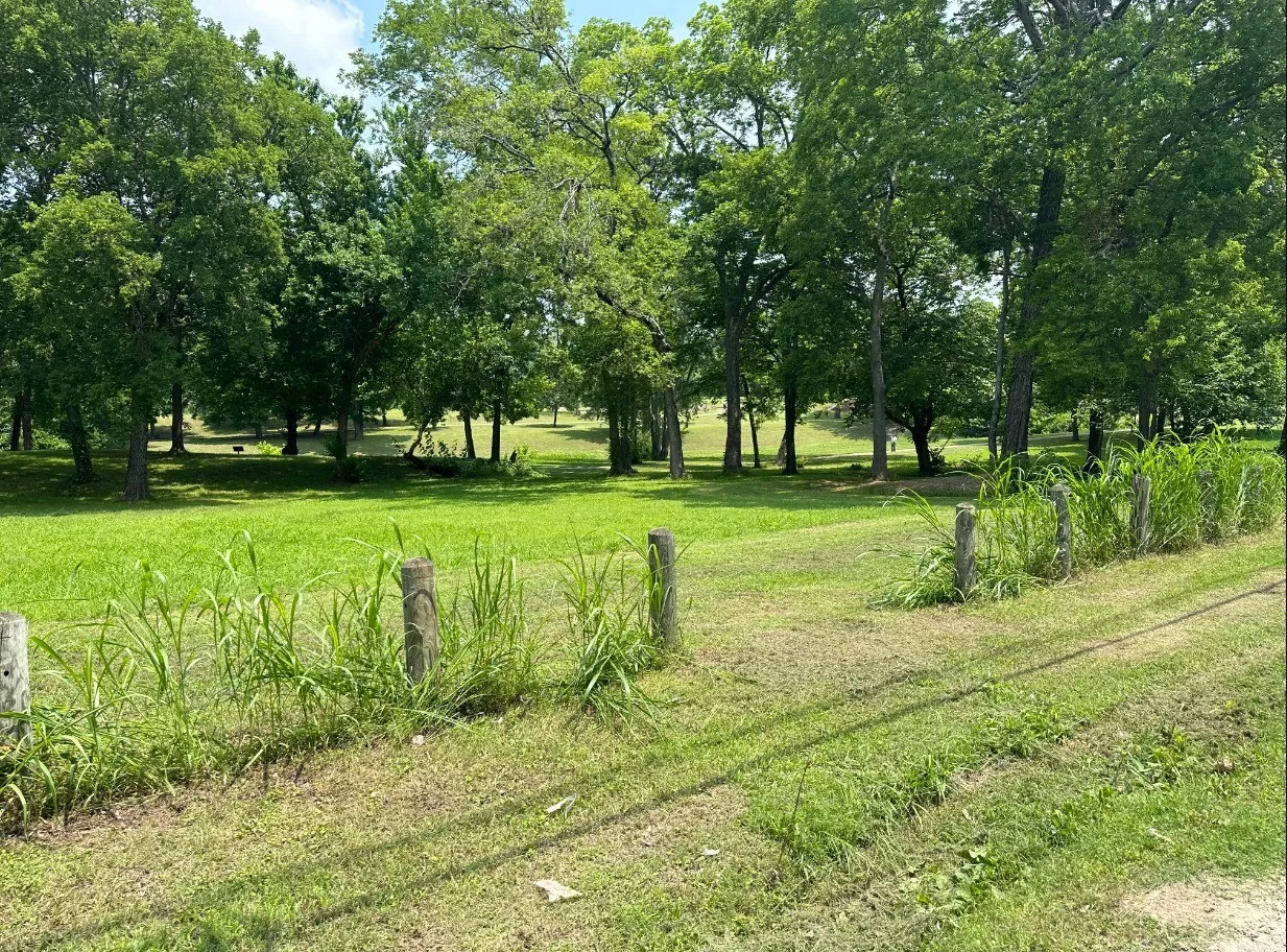Unimproved Land For Sale in Fannin County , 702 S 6th Street, Bonham, Texas 75418, 0, 0, Garage spaces, 0 Sqft, built in 0, mls#20459118, Real Estate Agent in Bonham, Homes For Sale in Fannin county, Homes For Sale in Bonham, Realtor in Bonham Texas, Real Estate Brokerage Independent Realty Texas, Luminita Cordes Realtor