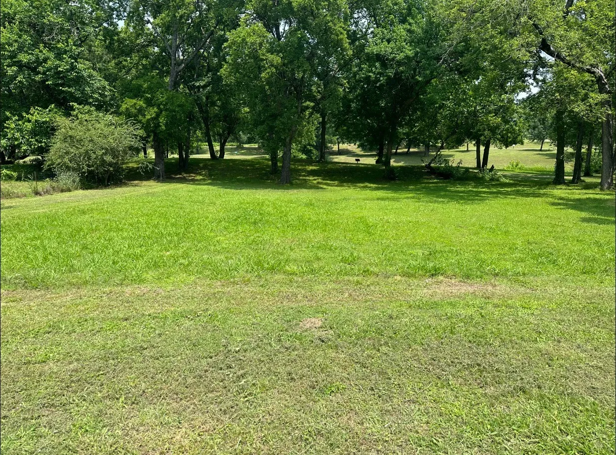 Unimproved Land For Sale in Fannin County , 702 S 6th Street, Bonham, Texas 75418, 0, 0, Garage spaces, 0 Sqft, built in 0, mls#20459118, Real Estate Agent in Bonham, Homes For Sale in Fannin county, Homes For Sale in Bonham, Realtor in Bonham Texas, Real Estate Brokerage Independent Realty Texas, Luminita Cordes Realtor
