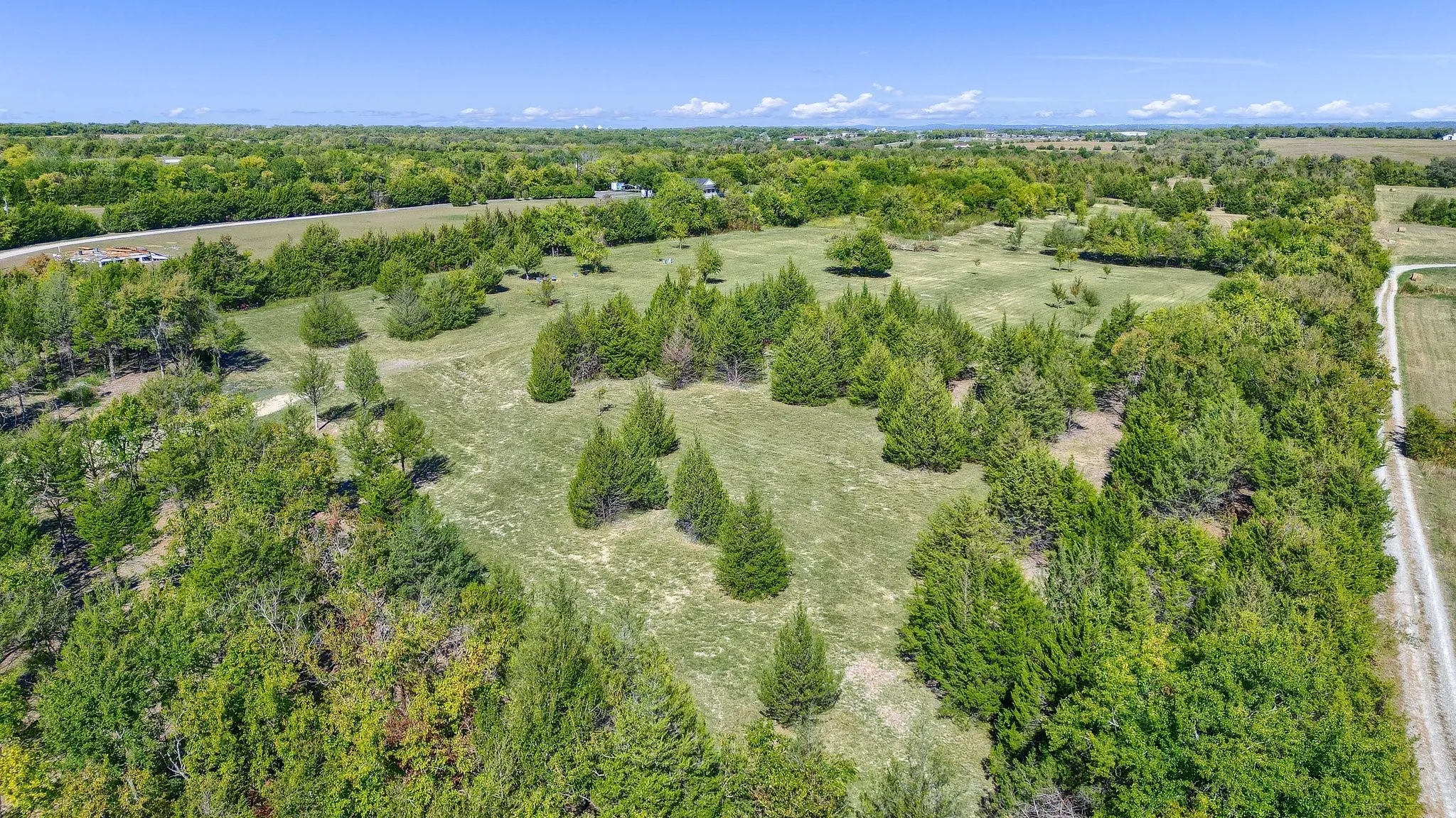 Unimproved Land For Sale in Grayson County , TBD Baker Ridge Road, Sherman, Texas 75092, 0, 0, Garage spaces, 0 Sqft, built in 0, Price $650,000, mls#20456674, Real Estate Agent in Sherman, Homes For Sale in Grayson county, Homes For Sale in Sherman, Realtor in Sherman Texas, Real Estate Brokerage Independent Realty Texas, Luminita Cordes Realtor