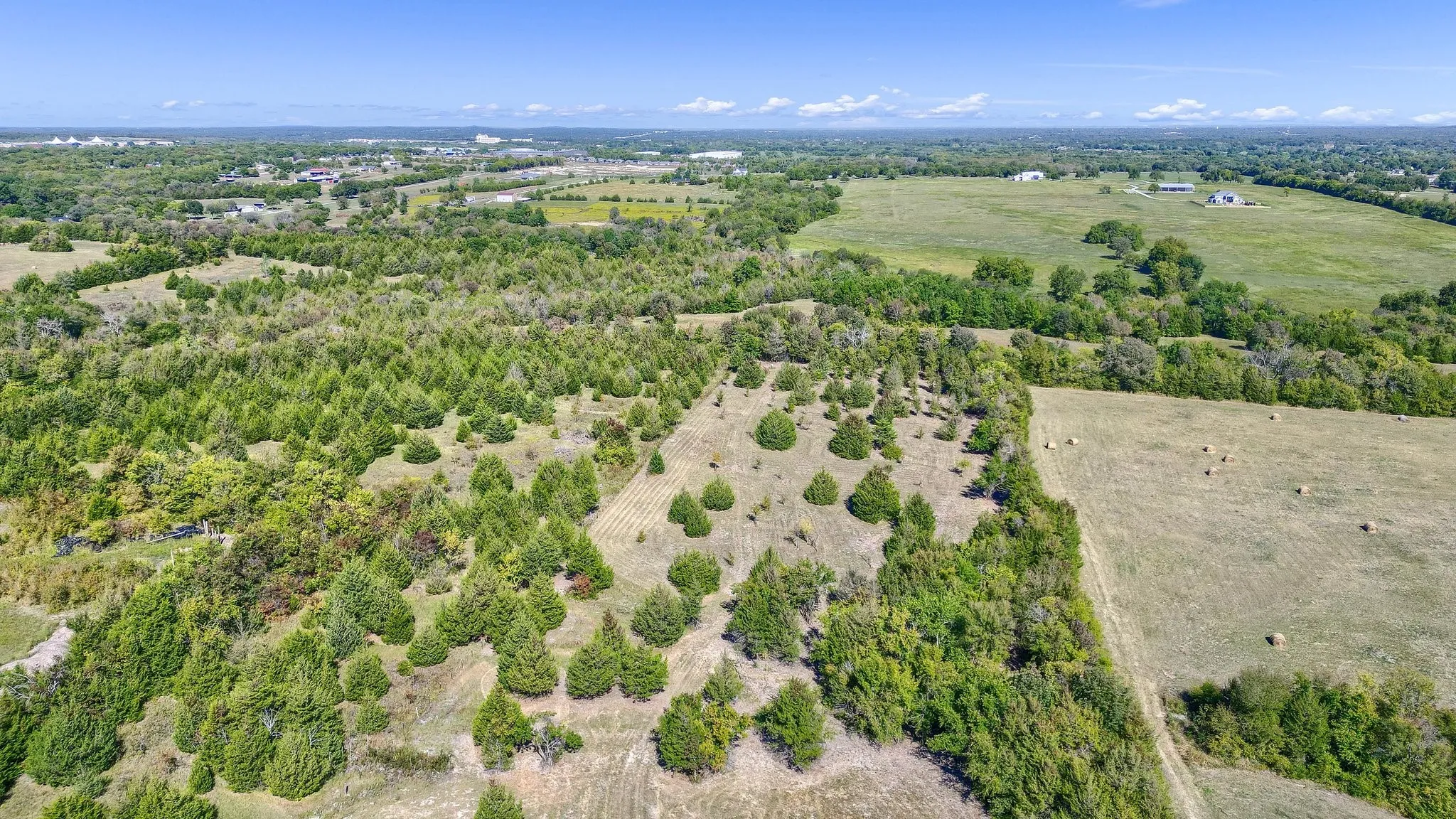 Unimproved Land For Sale in Grayson County , TBD Baker Ridge Road, Sherman, Texas 75092, 0, 0, Garage spaces, 0 Sqft, built in 0, Price $650,000, mls#20456674, Real Estate Agent in Sherman, Homes For Sale in Grayson county, Homes For Sale in Sherman, Realtor in Sherman Texas, Real Estate Brokerage Independent Realty Texas, Luminita Cordes Realtor