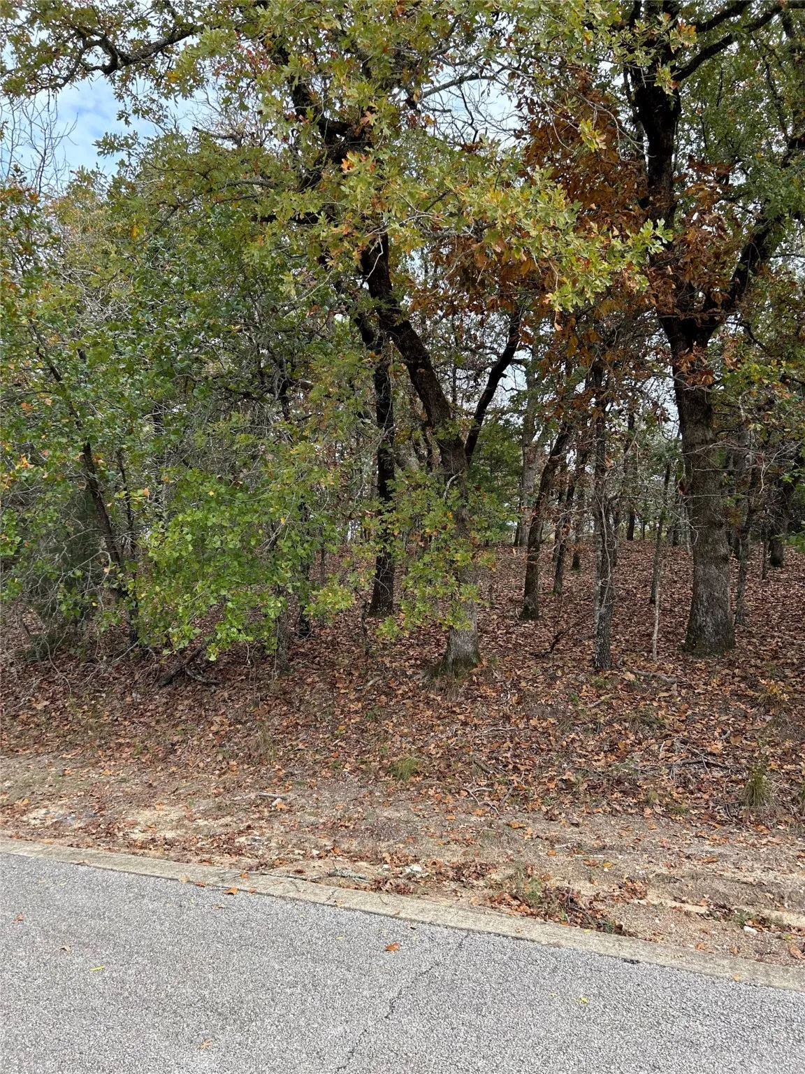 Unimproved Land For Sale in Henderson County , 489 Pedernales, Athens, Texas 75752, 0, 0, Garage spaces, 0 Sqft, built in 0, mls#20463184, Real Estate Agent in Athens, Homes For Sale in Henderson county, Homes For Sale in Athens, Realtor in Athens Texas, Real Estate Brokerage Independent Realty Texas, Luminita Cordes Realtor