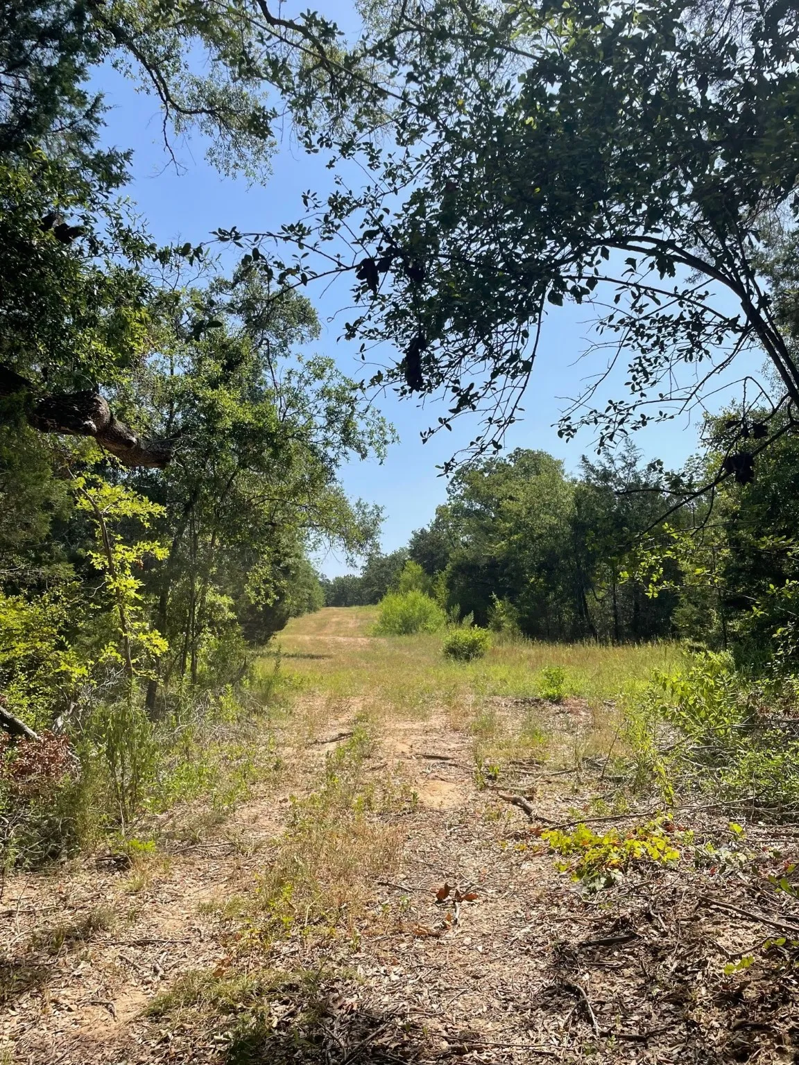 Ranch For Sale in Limestone County , TBD 00 LCR 828, Groesbeck, Texas 76642, 0, 0, Garage spaces, 0 Sqft, built in 0, Price $642,250, mls#20463862, Real Estate Agent in Groesbeck, Homes For Sale in Limestone county, Homes For Sale in Groesbeck, Realtor in Groesbeck Texas, Real Estate Brokerage Independent Realty Texas, Luminita Cordes Realtor
