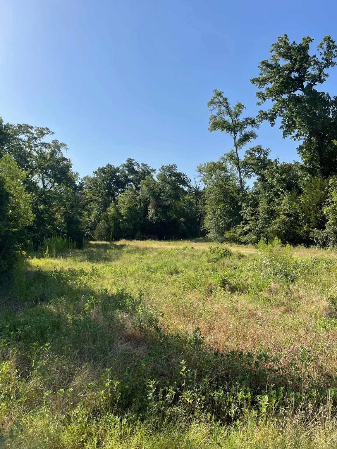 Ranch For Sale in Limestone County , TBD 00 LCR 828, Groesbeck, Texas 76642, 0, 0, Garage spaces, 0 Sqft, built in 0, Price $642,250, mls#20463862, Real Estate Agent in Groesbeck, Homes For Sale in Limestone county, Homes For Sale in Groesbeck, Realtor in Groesbeck Texas, Real Estate Brokerage Independent Realty Texas, Luminita Cordes Realtor