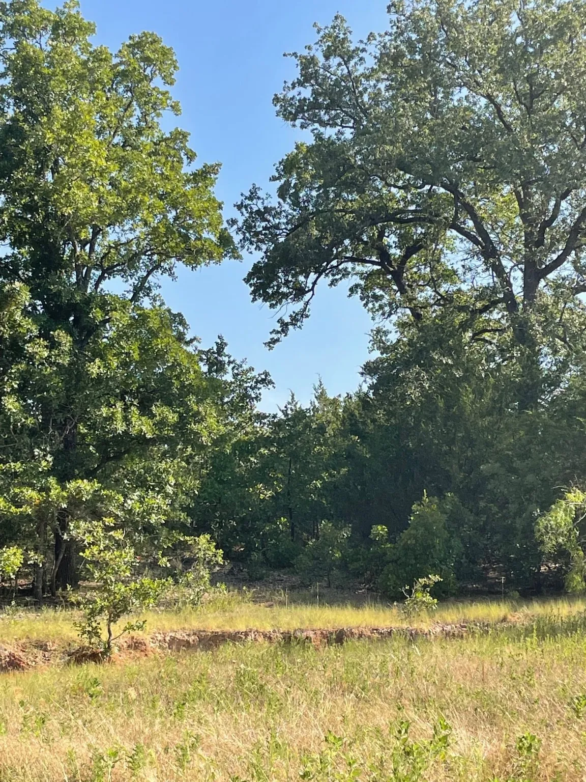 Ranch For Sale in Limestone County , TBD 00 LCR 828, Groesbeck, Texas 76642, 0, 0, Garage spaces, 0 Sqft, built in 0, Price $642,250, mls#20463862, Real Estate Agent in Groesbeck, Homes For Sale in Limestone county, Homes For Sale in Groesbeck, Realtor in Groesbeck Texas, Real Estate Brokerage Independent Realty Texas, Luminita Cordes Realtor