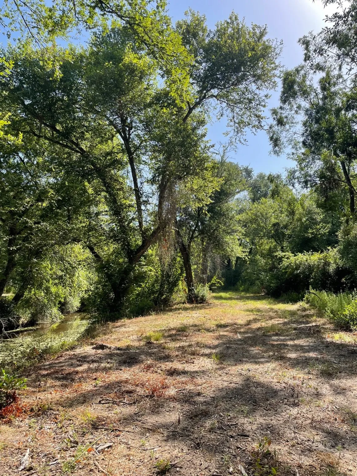 Ranch For Sale in Limestone County , TBD 00 LCR 828, Groesbeck, Texas 76642, 0, 0, Garage spaces, 0 Sqft, built in 0, Price $642,250, mls#20463862, Real Estate Agent in Groesbeck, Homes For Sale in Limestone county, Homes For Sale in Groesbeck, Realtor in Groesbeck Texas, Real Estate Brokerage Independent Realty Texas, Luminita Cordes Realtor