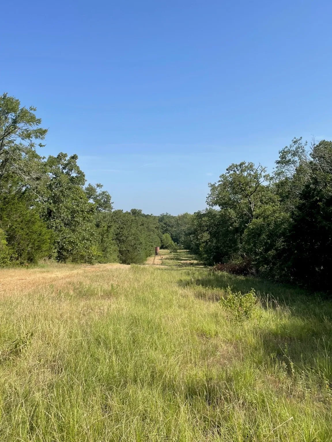 Ranch For Sale in Limestone County , TBD 00 LCR 828, Groesbeck, Texas 76642, 0, 0, Garage spaces, 0 Sqft, built in 0, Price $642,250, mls#20463862, Real Estate Agent in Groesbeck, Homes For Sale in Limestone county, Homes For Sale in Groesbeck, Realtor in Groesbeck Texas, Real Estate Brokerage Independent Realty Texas, Luminita Cordes Realtor