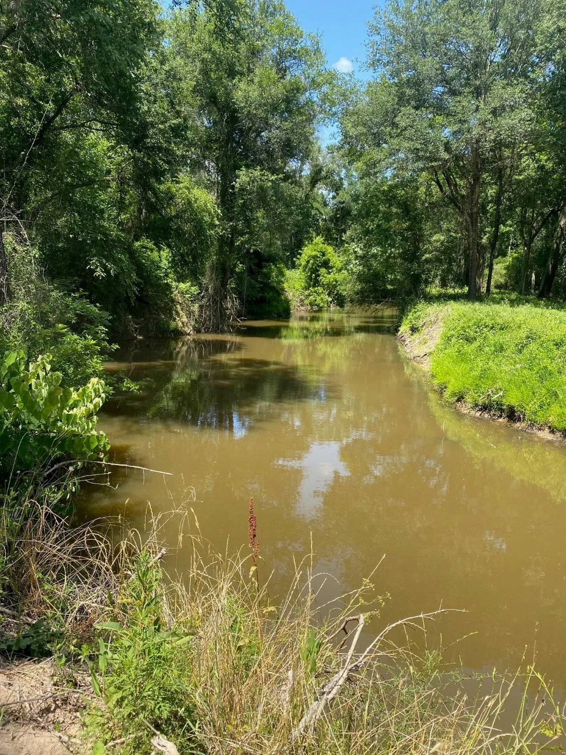 Ranch For Sale in Limestone County , TBD 00 LCR 828, Groesbeck, Texas 76642, 0, 0, Garage spaces, 0 Sqft, built in 0, Price $642,250, mls#20463862, Real Estate Agent in Groesbeck, Homes For Sale in Limestone county, Homes For Sale in Groesbeck, Realtor in Groesbeck Texas, Real Estate Brokerage Independent Realty Texas, Luminita Cordes Realtor