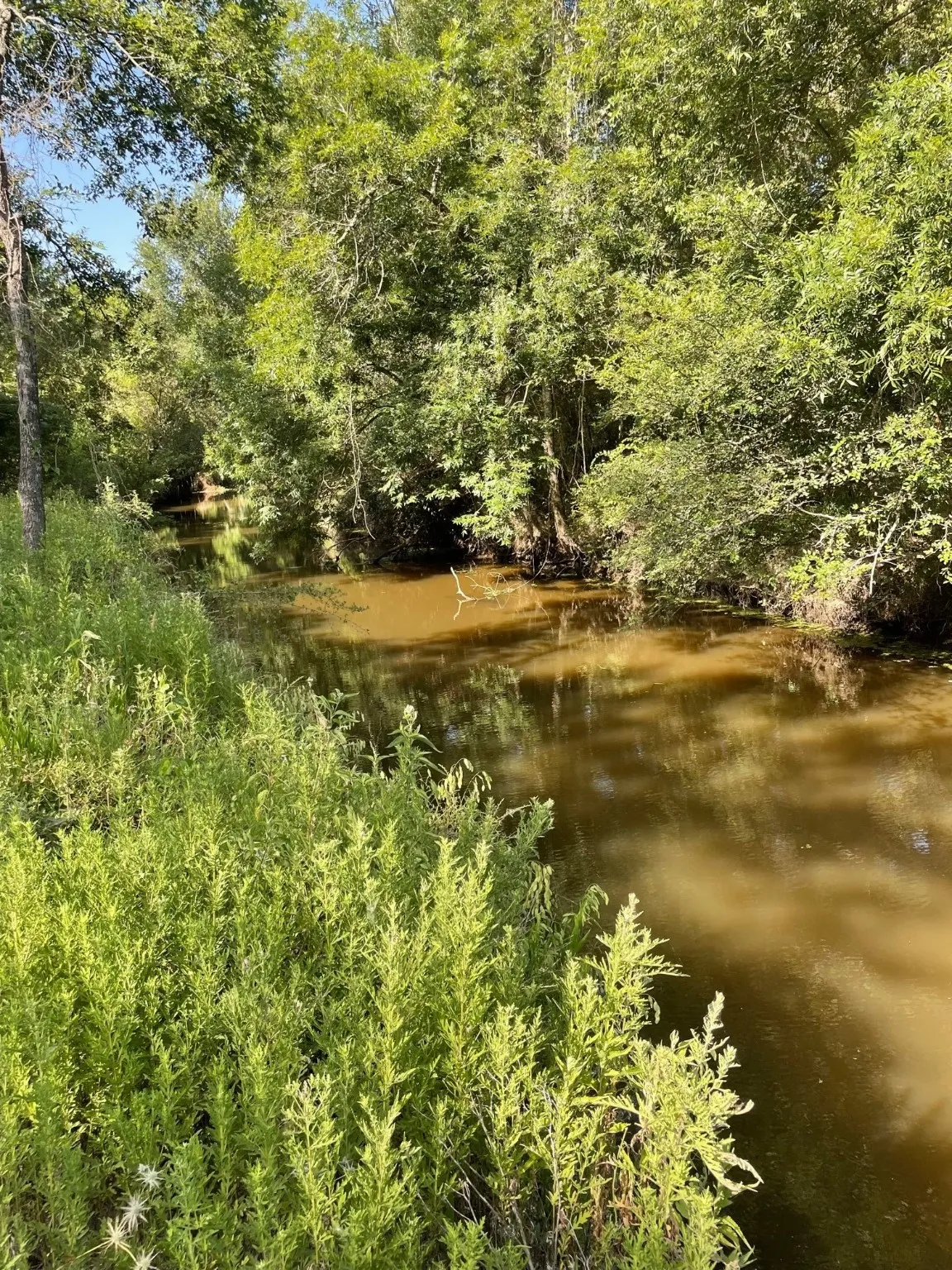 Ranch For Sale in Limestone County , TBD 00 LCR 828, Groesbeck, Texas 76642, 0, 0, Garage spaces, 0 Sqft, built in 0, Price $642,250, mls#20463862, Real Estate Agent in Groesbeck, Homes For Sale in Limestone county, Homes For Sale in Groesbeck, Realtor in Groesbeck Texas, Real Estate Brokerage Independent Realty Texas, Luminita Cordes Realtor
