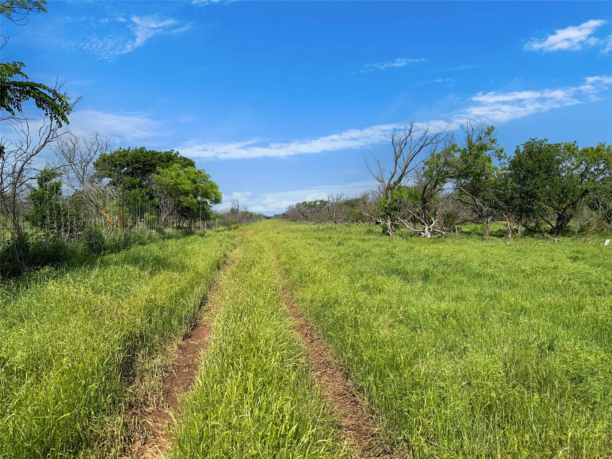 Ranch For Sale in Archer County , 1678 Buerger, Archer City, Texas 76351, 0, 0, Garage spaces, 0 Sqft, built in 2000, Price $899,000, mls#20467967, Real Estate Agent in Archer City, Homes For Sale in Archer county, Homes For Sale in Archer City, Realtor in Archer City Texas, Real Estate Brokerage Independent Realty Texas, Luminita Cordes Realtor