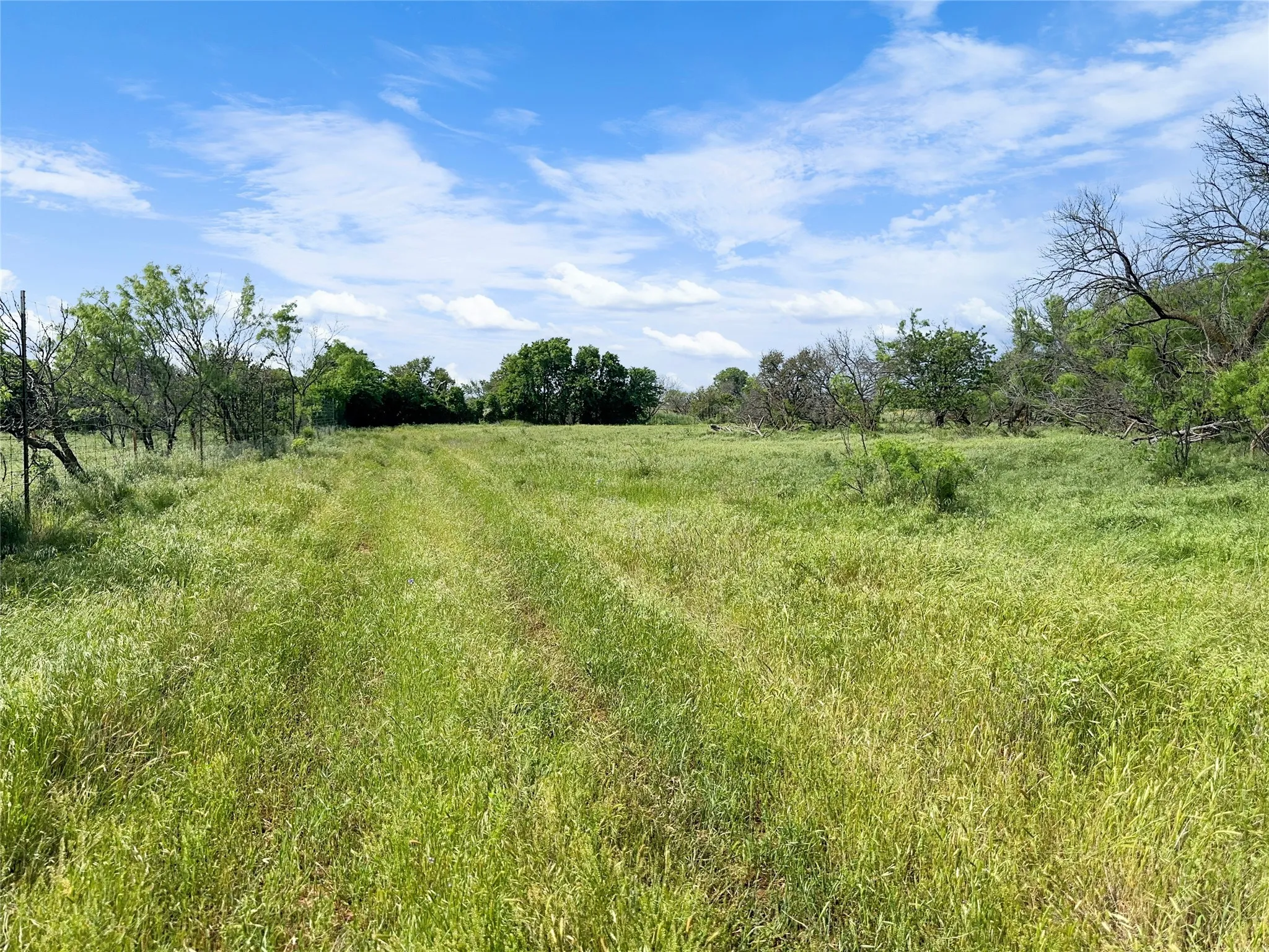 Ranch For Sale in Archer County , 1678 Buerger, Archer City, Texas 76351, 0, 0, Garage spaces, 0 Sqft, built in 2000, Price $899,000, mls#20467967, Real Estate Agent in Archer City, Homes For Sale in Archer county, Homes For Sale in Archer City, Realtor in Archer City Texas, Real Estate Brokerage Independent Realty Texas, Luminita Cordes Realtor