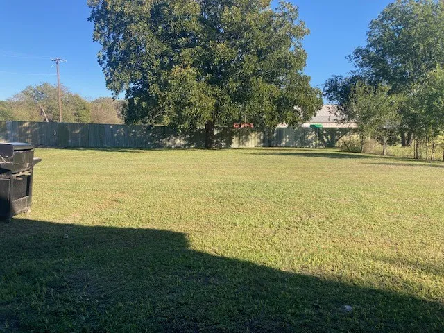 Back yard