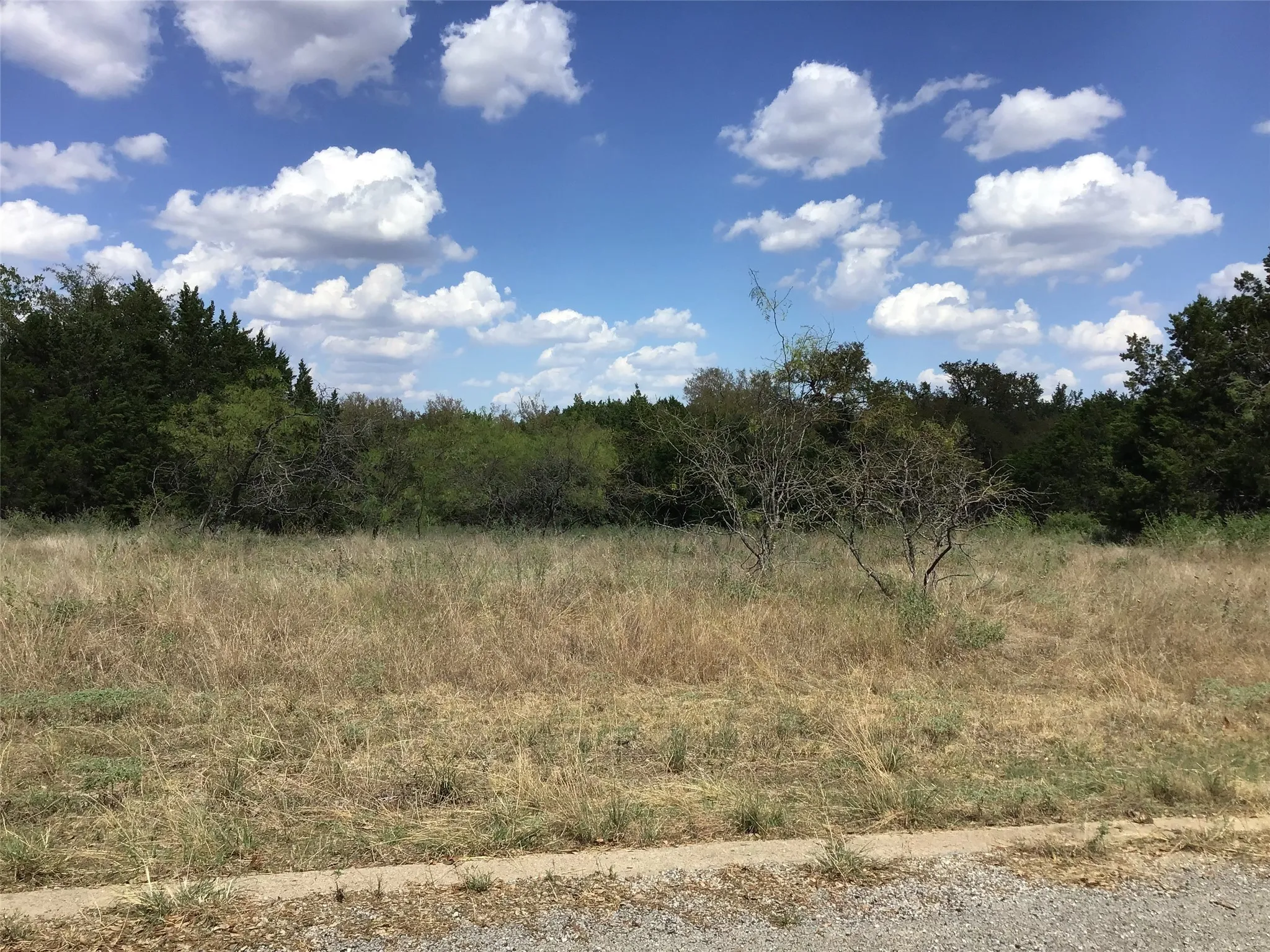 Unimproved Land For Sale in Hill County , 37067 Woodacre Loop, Whitney, Texas 76692, 0, 0, Garage spaces, 0 Sqft, built in 0, mls#20469103, Real Estate Agent in Whitney, Homes For Sale in Hill county, Homes For Sale in Whitney, Realtor in Whitney Texas, Real Estate Brokerage Independent Realty Texas, Luminita Cordes Realtor