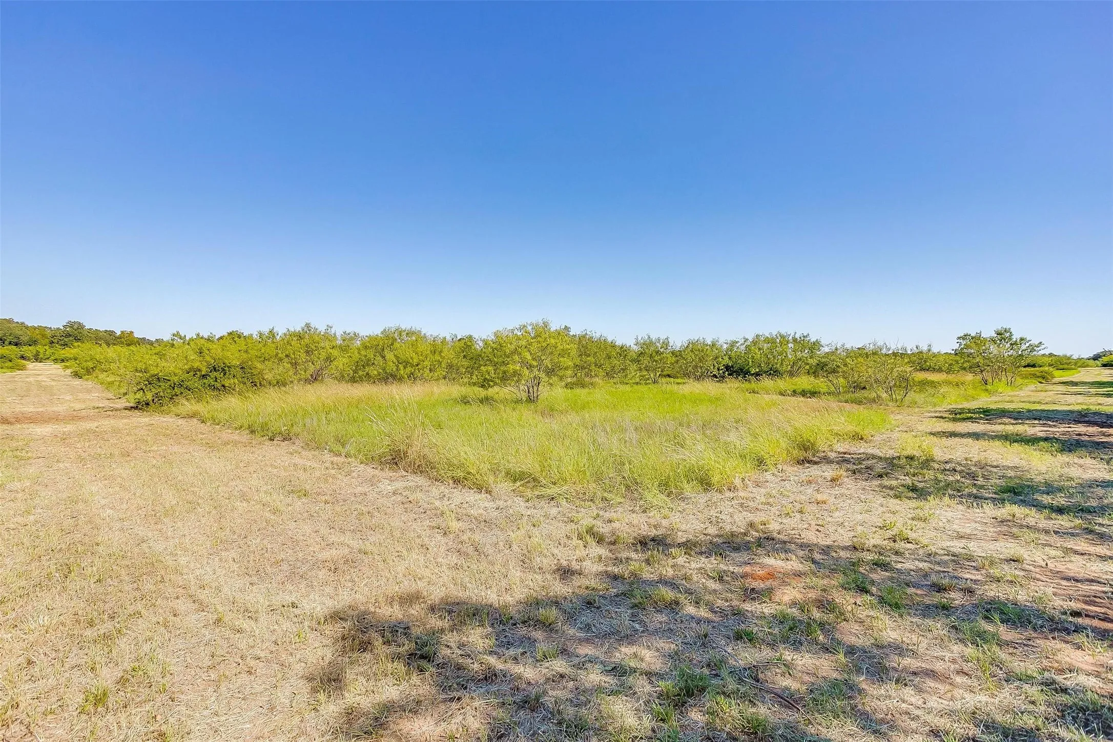Unimproved Land For Sale in Johnson County , TBD6 County Road 1242, Cleburne, Texas 76033, 0, 0, Garage spaces, 0 Sqft, built in 0, mls#20483759, Real Estate Agent in Cleburne, Homes For Sale in Johnson county, Homes For Sale in Cleburne, Realtor in Cleburne Texas, Real Estate Brokerage Independent Realty Texas, Luminita Cordes Realtor