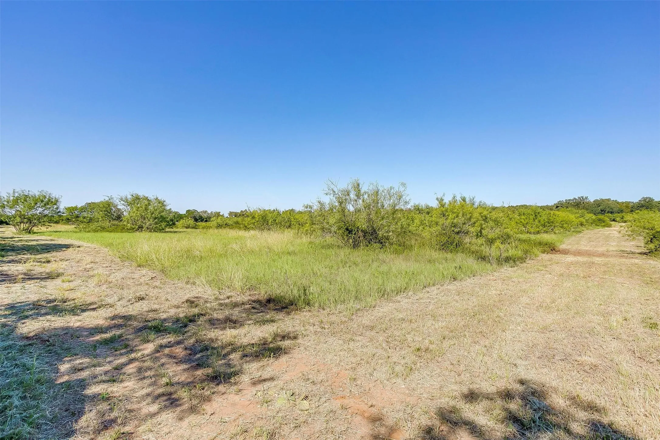 Unimproved Land For Sale in Johnson County , TBD5 County Road 1242, Cleburne, Texas 76033, 0, 0, Garage spaces, 0 Sqft, built in 0, Price $100,000, mls#20483762, Real Estate Agent in Cleburne, Homes For Sale in Johnson county, Homes For Sale in Cleburne, Realtor in Cleburne Texas, Real Estate Brokerage Independent Realty Texas, Luminita Cordes Realtor