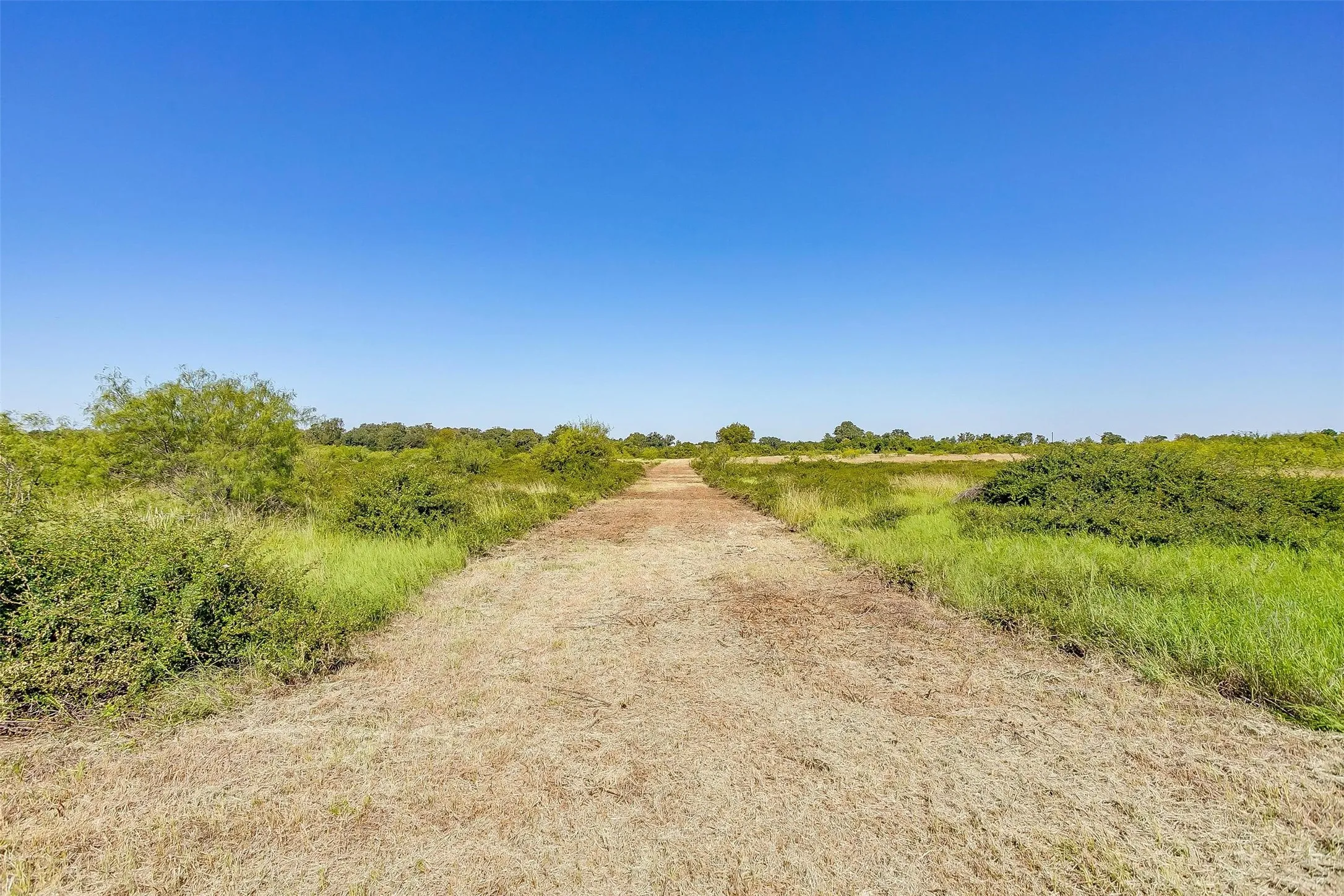 Unimproved Land For Sale in Johnson County , TBD5 County Road 1242, Cleburne, Texas 76033, 0, 0, Garage spaces, 0 Sqft, built in 0, Price $100,000, mls#20483762, Real Estate Agent in Cleburne, Homes For Sale in Johnson county, Homes For Sale in Cleburne, Realtor in Cleburne Texas, Real Estate Brokerage Independent Realty Texas, Luminita Cordes Realtor