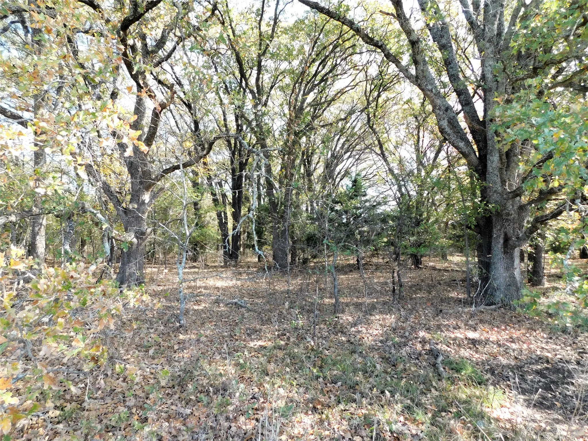 Unimproved Land For Sale in Hunt County , TBD County Rd 3605, Quinlan, Texas 75474, 0, 0, Garage spaces, 0 Sqft, built in 0, mls#20483622, Real Estate Agent in Quinlan, Homes For Sale in Hunt county, Homes For Sale in Quinlan, Realtor in Quinlan Texas, Real Estate Brokerage Independent Realty Texas, Luminita Cordes Realtor