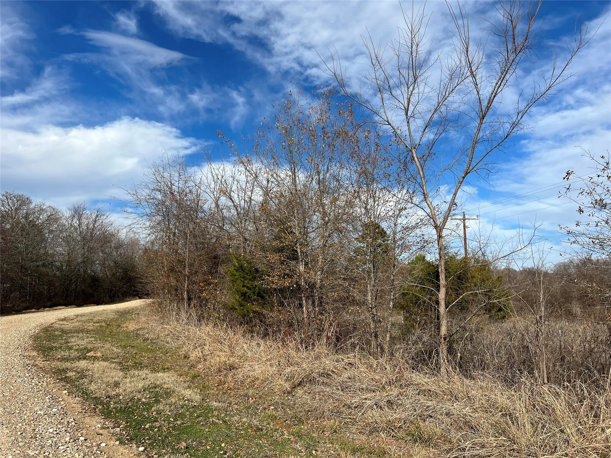Unimproved Land For Sale in Fannin County , TBD Fm 897, Telephone, Texas 75488, 0, 0, Garage spaces, 0 Sqft, built in 0, Price $60,000, mls#20502548, Real Estate Agent in Telephone, Homes For Sale in Fannin county, Homes For Sale in Telephone, Realtor in Telephone Texas, Real Estate Brokerage Independent Realty Texas, Luminita Cordes Realtor