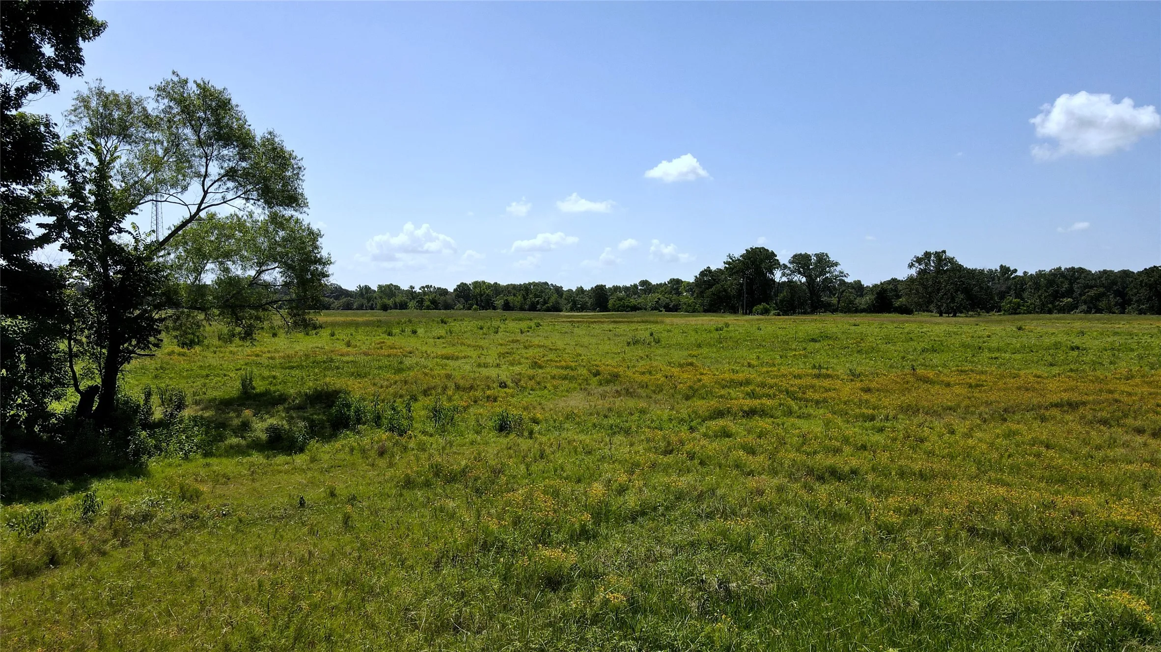 Single Family Residence For Sale in Henderson County , 10142 FM 773, Murchison, Texas 75778, 2 Bedroom, 2 Bathroom, Garage spaces, 1,154 Sqft, built in 0, Price $465,000, mls#20507544, Real Estate Agent in Murchison, Homes For Sale in Henderson county, Homes For Sale in Murchison, Realtor in Murchison Texas, Real Estate Brokerage Independent Realty Texas, Luminita Cordes Realtor
