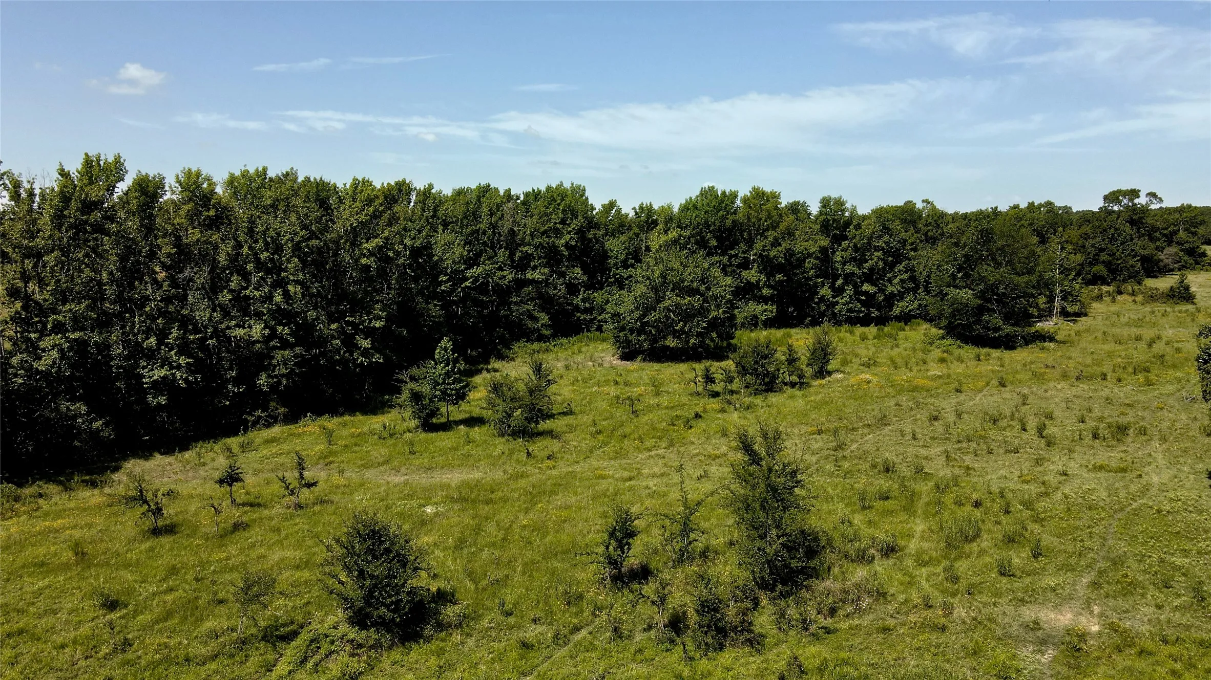 Single Family Residence For Sale in Henderson County , 10142 FM 773, Murchison, Texas 75778, 2 Bedroom, 2 Bathroom, Garage spaces, 1,154 Sqft, built in 0, Price $465,000, mls#20507544, Real Estate Agent in Murchison, Homes For Sale in Henderson county, Homes For Sale in Murchison, Realtor in Murchison Texas, Real Estate Brokerage Independent Realty Texas, Luminita Cordes Realtor