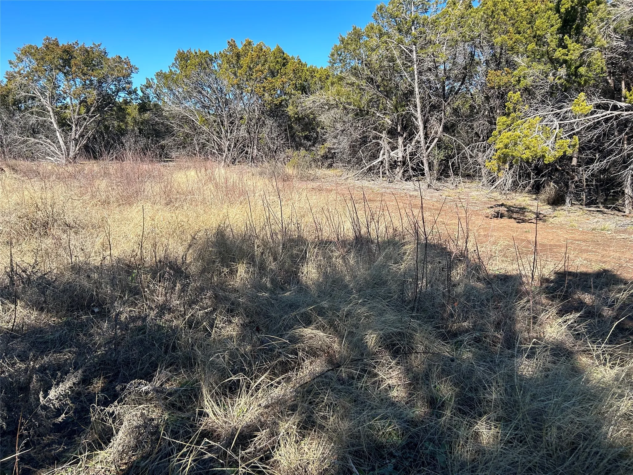 Unimproved Land For Sale in Hill County , 330 Fort Graham Road, Whitney, Texas 76692, 0, 0, Garage spaces, 0 Sqft, built in 2023, mls#20508653, Real Estate Agent in Whitney, Homes For Sale in Hill county, Homes For Sale in Whitney, Realtor in Whitney Texas, Real Estate Brokerage Independent Realty Texas, Luminita Cordes Realtor