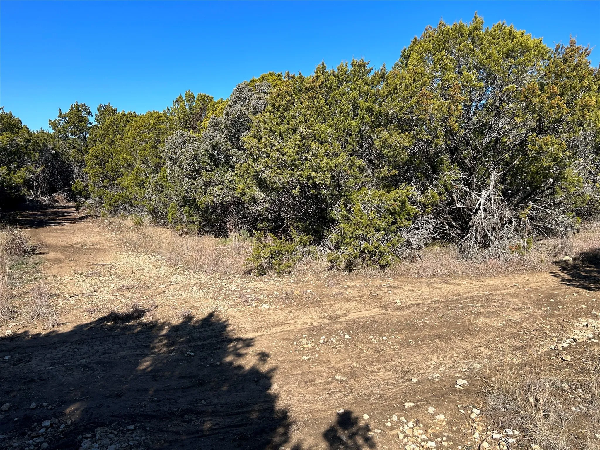 Unimproved Land For Sale in Hill County , 330 Fort Graham Road, Whitney, Texas 76692, 0, 0, Garage spaces, 0 Sqft, built in 2023, mls#20508653, Real Estate Agent in Whitney, Homes For Sale in Hill county, Homes For Sale in Whitney, Realtor in Whitney Texas, Real Estate Brokerage Independent Realty Texas, Luminita Cordes Realtor