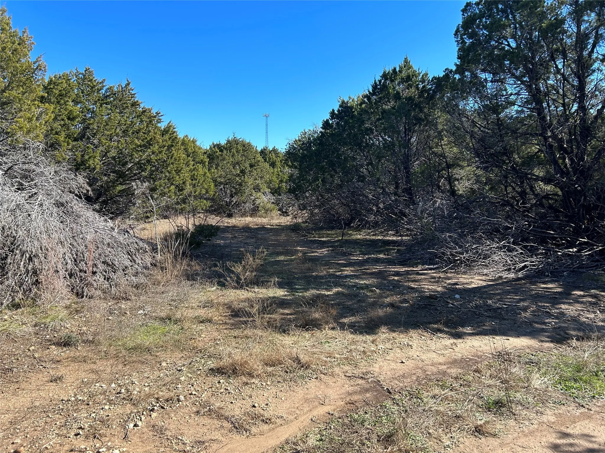 Unimproved Land For Sale in Hill County , 330 Fort Graham Road, Whitney, Texas 76692, 0, 0, Garage spaces, 0 Sqft, built in 2023, mls#20508653, Real Estate Agent in Whitney, Homes For Sale in Hill county, Homes For Sale in Whitney, Realtor in Whitney Texas, Real Estate Brokerage Independent Realty Texas, Luminita Cordes Realtor