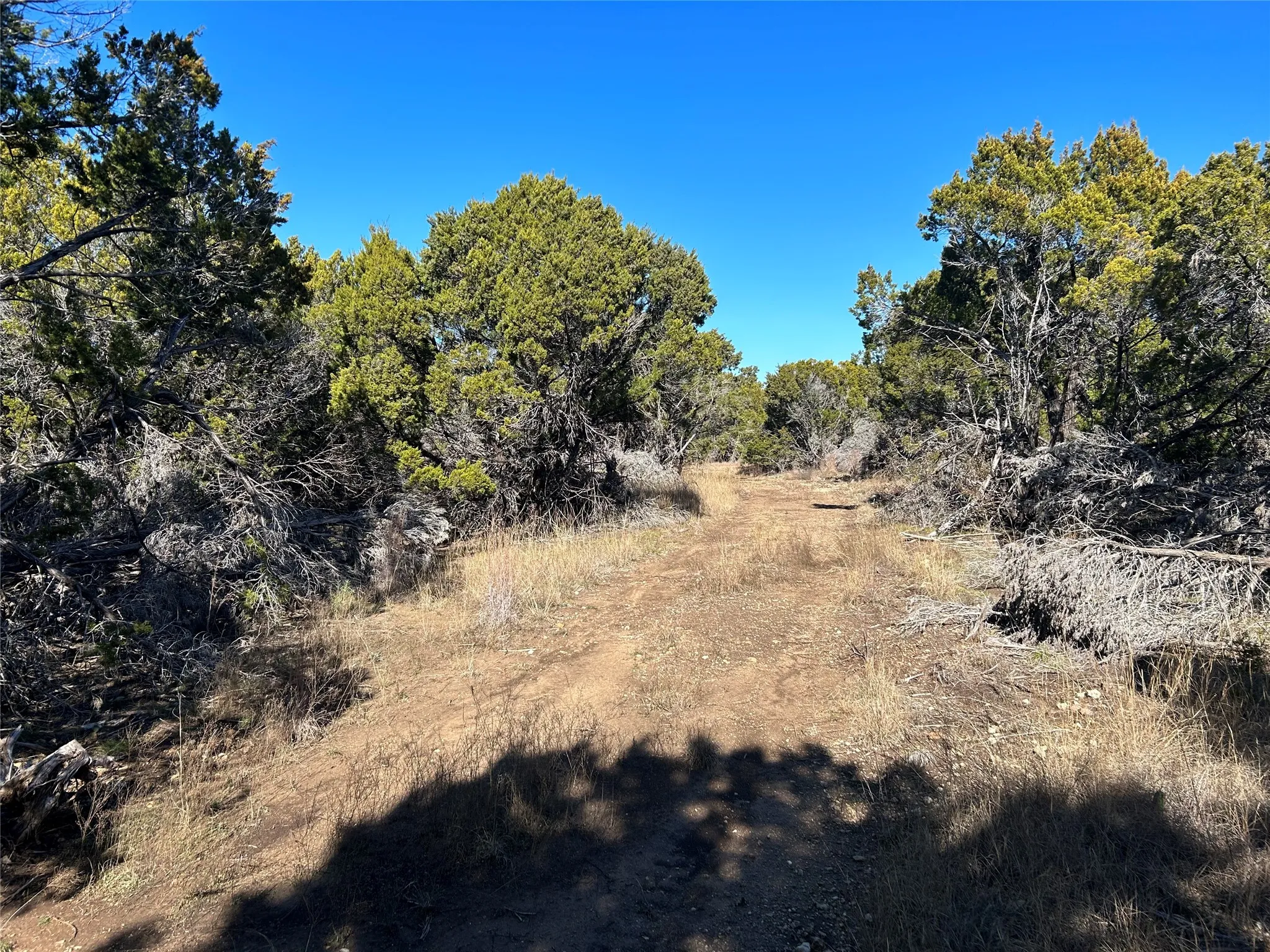 Unimproved Land For Sale in Hill County , 330 Fort Graham Road, Whitney, Texas 76692, 0, 0, Garage spaces, 0 Sqft, built in 2023, mls#20508653, Real Estate Agent in Whitney, Homes For Sale in Hill county, Homes For Sale in Whitney, Realtor in Whitney Texas, Real Estate Brokerage Independent Realty Texas, Luminita Cordes Realtor