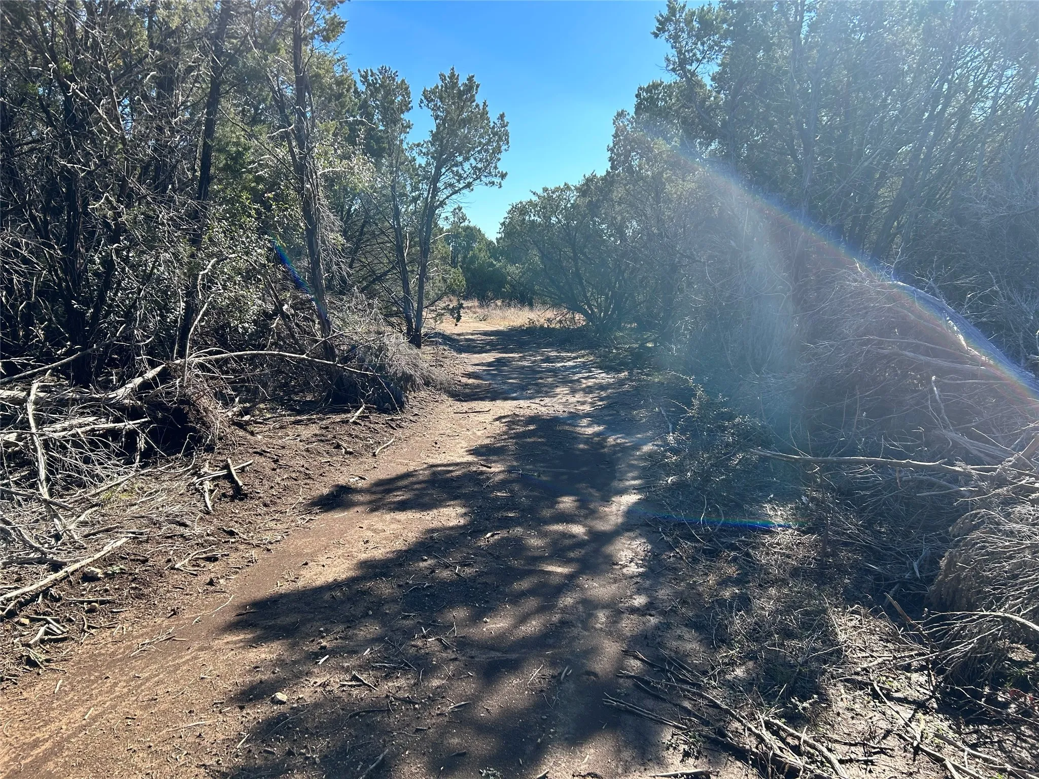 Unimproved Land For Sale in Hill County , 330 Fort Graham Road, Whitney, Texas 76692, 0, 0, Garage spaces, 0 Sqft, built in 2023, mls#20508653, Real Estate Agent in Whitney, Homes For Sale in Hill county, Homes For Sale in Whitney, Realtor in Whitney Texas, Real Estate Brokerage Independent Realty Texas, Luminita Cordes Realtor