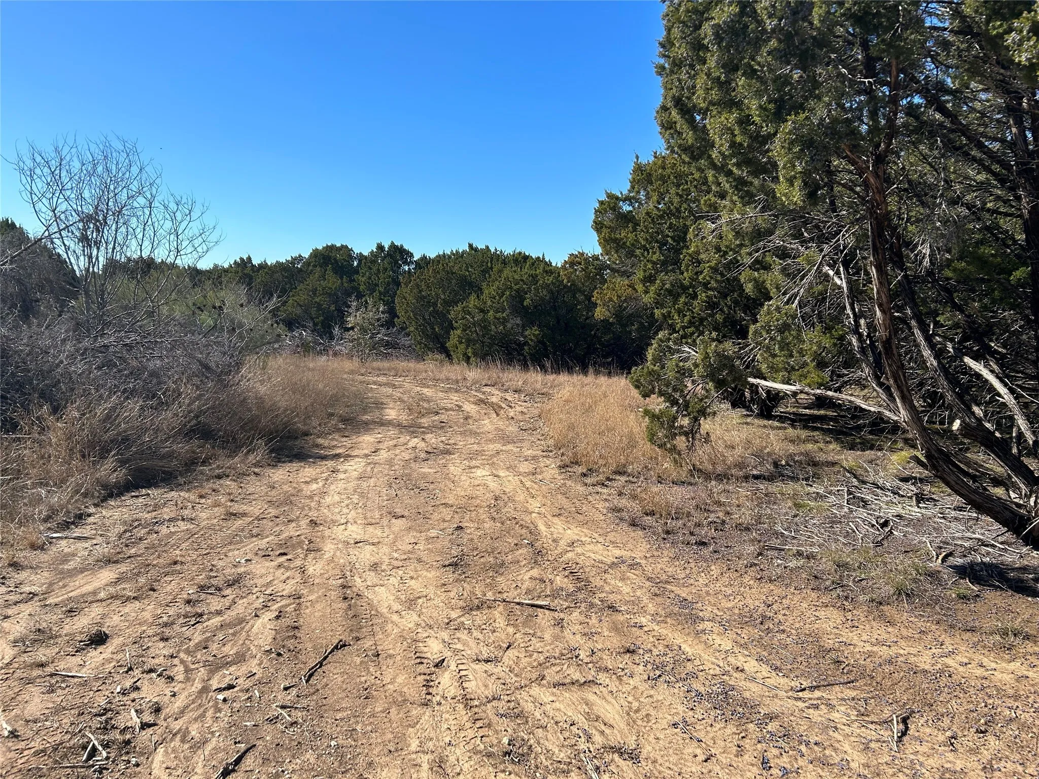 Unimproved Land For Sale in Hill County , 330 Fort Graham Road, Whitney, Texas 76692, 0, 0, Garage spaces, 0 Sqft, built in 2023, mls#20508653, Real Estate Agent in Whitney, Homes For Sale in Hill county, Homes For Sale in Whitney, Realtor in Whitney Texas, Real Estate Brokerage Independent Realty Texas, Luminita Cordes Realtor